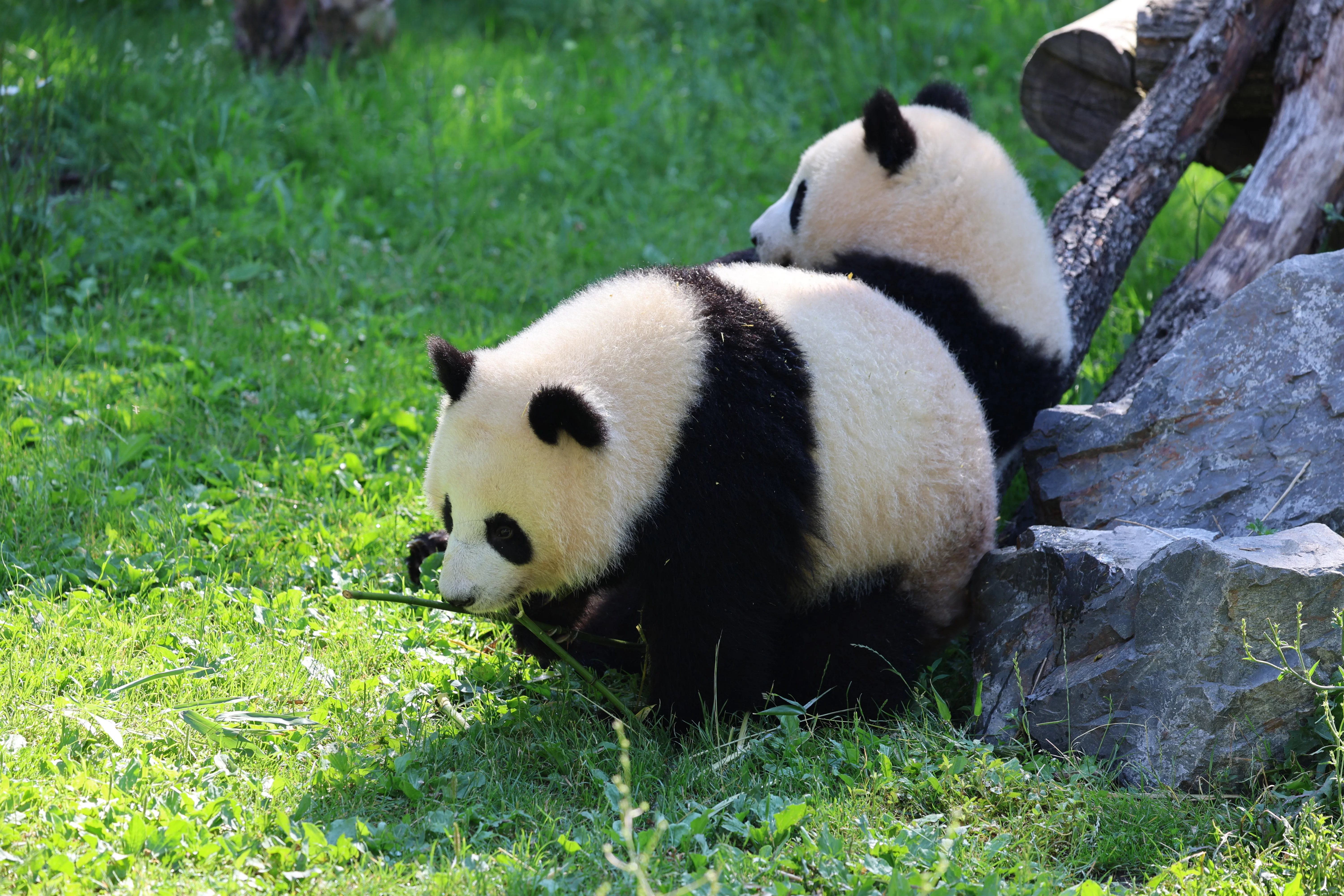 Zoo Berlin