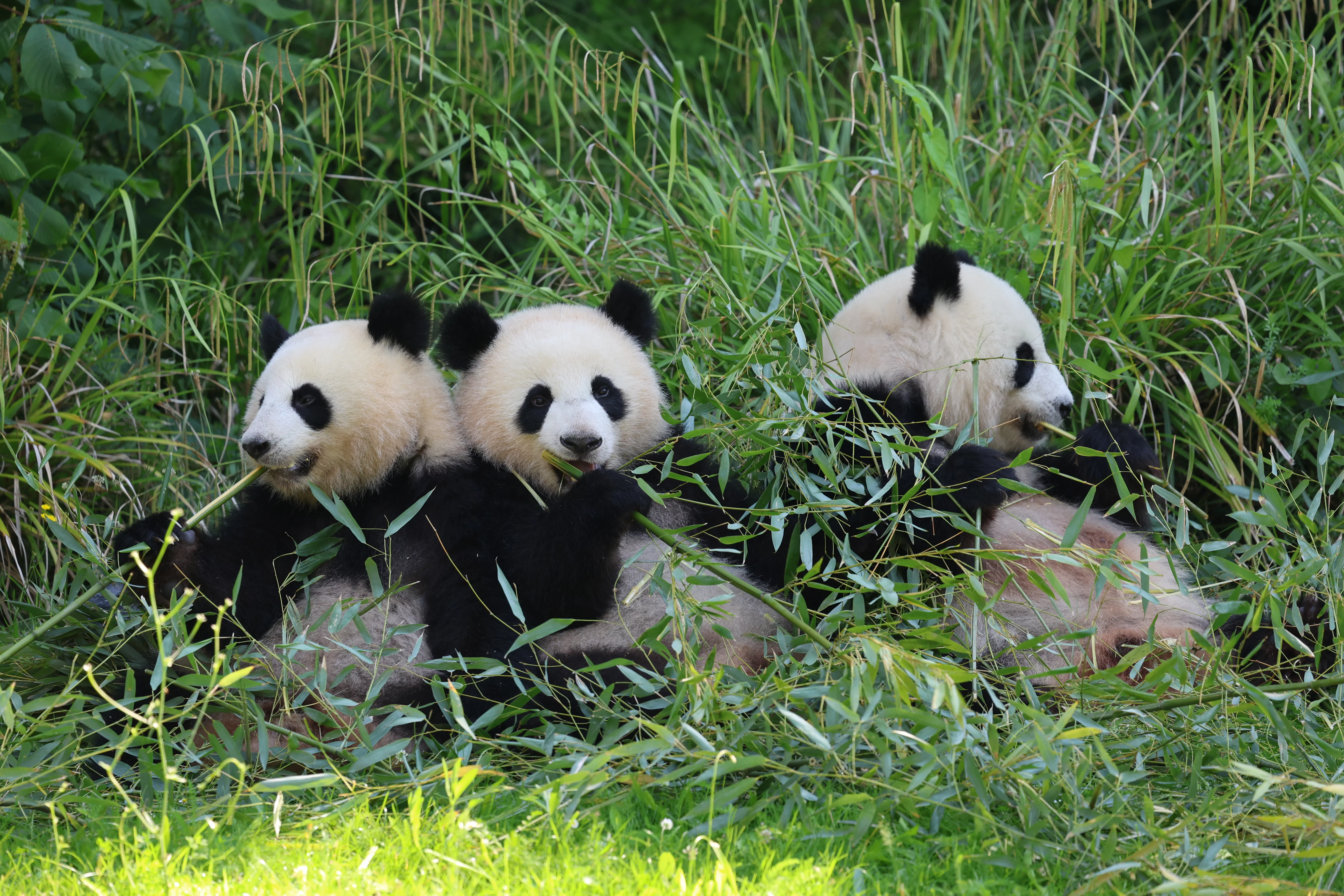 Zoo Berlin