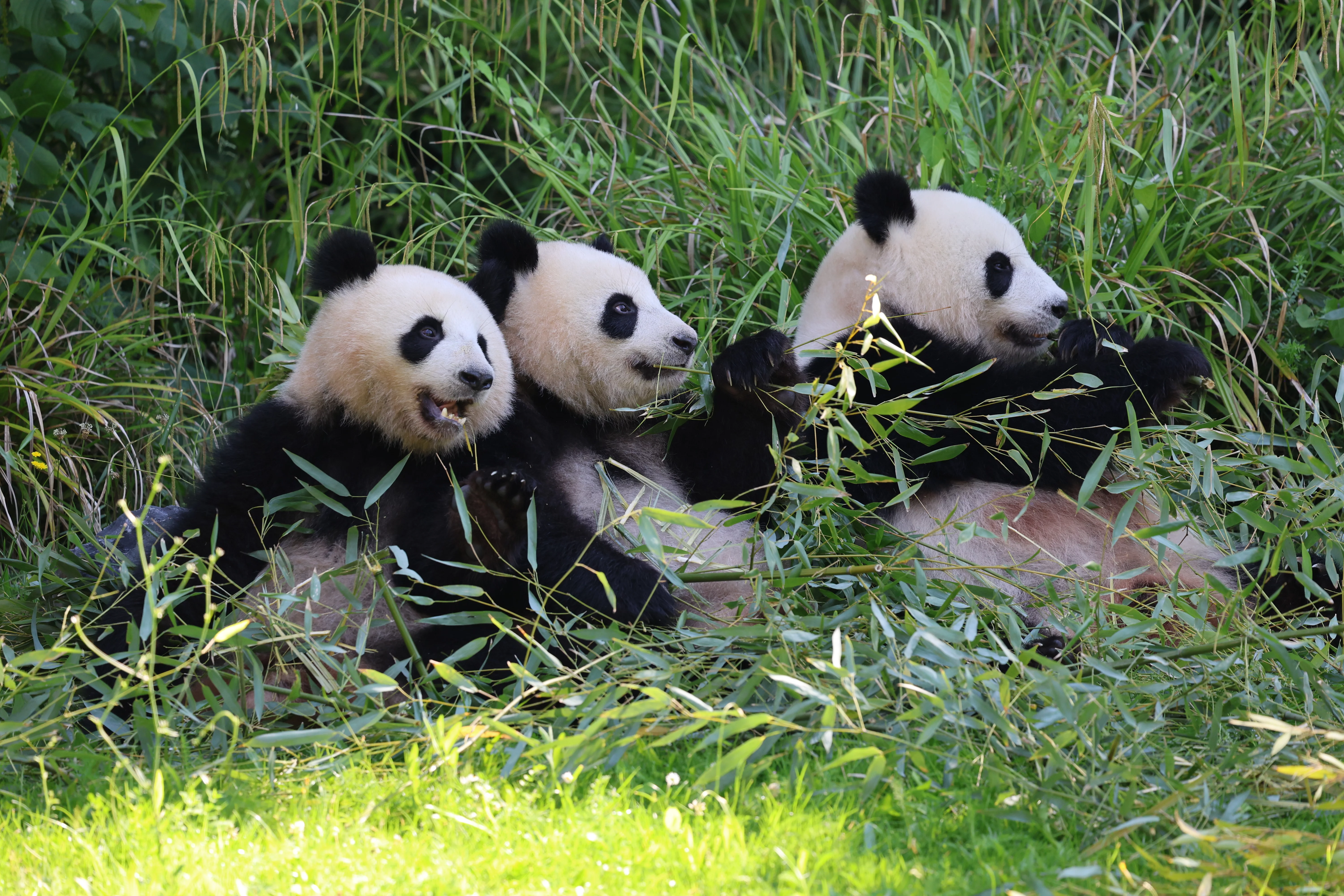 Zoo Berlin