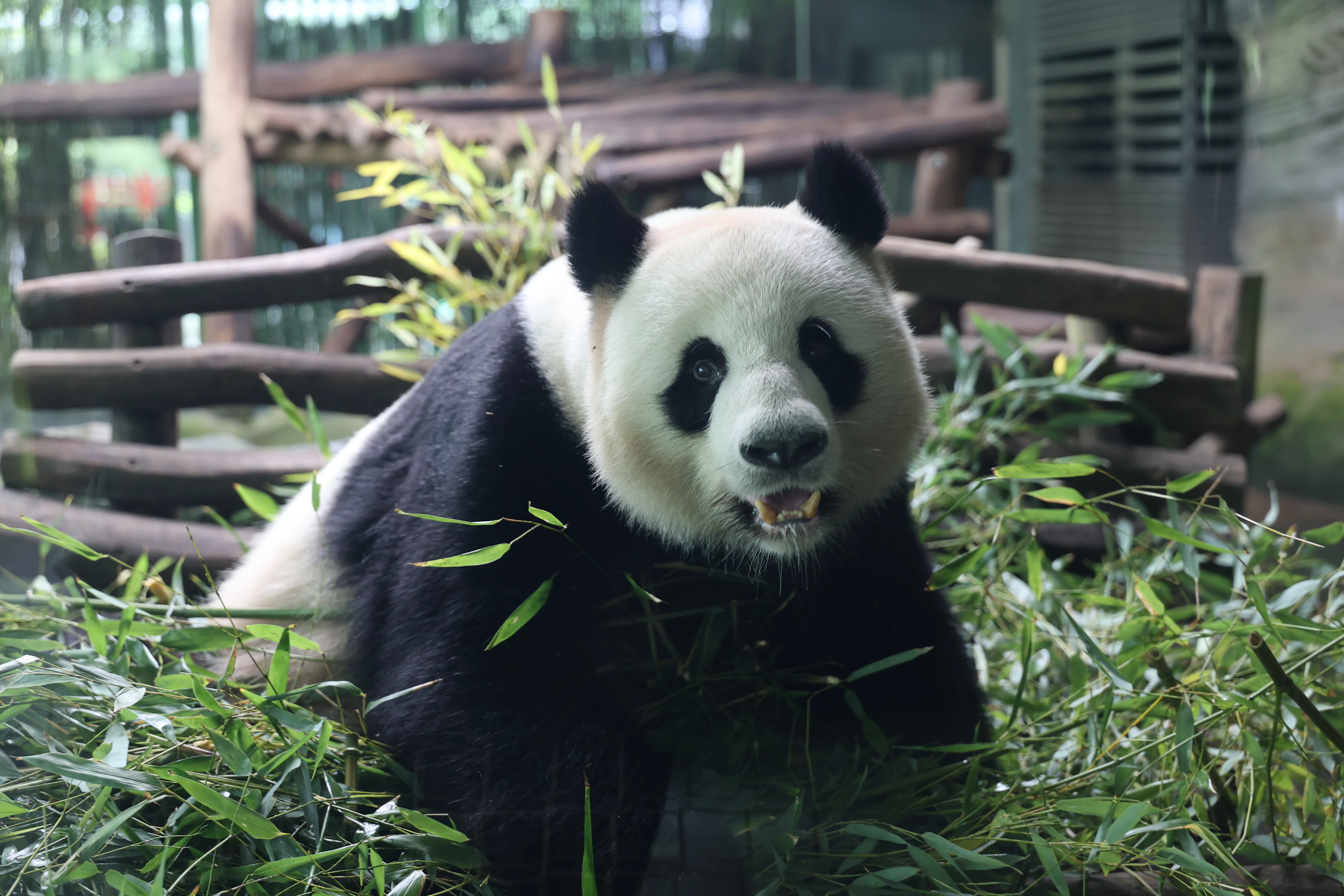 Zoo Berlin