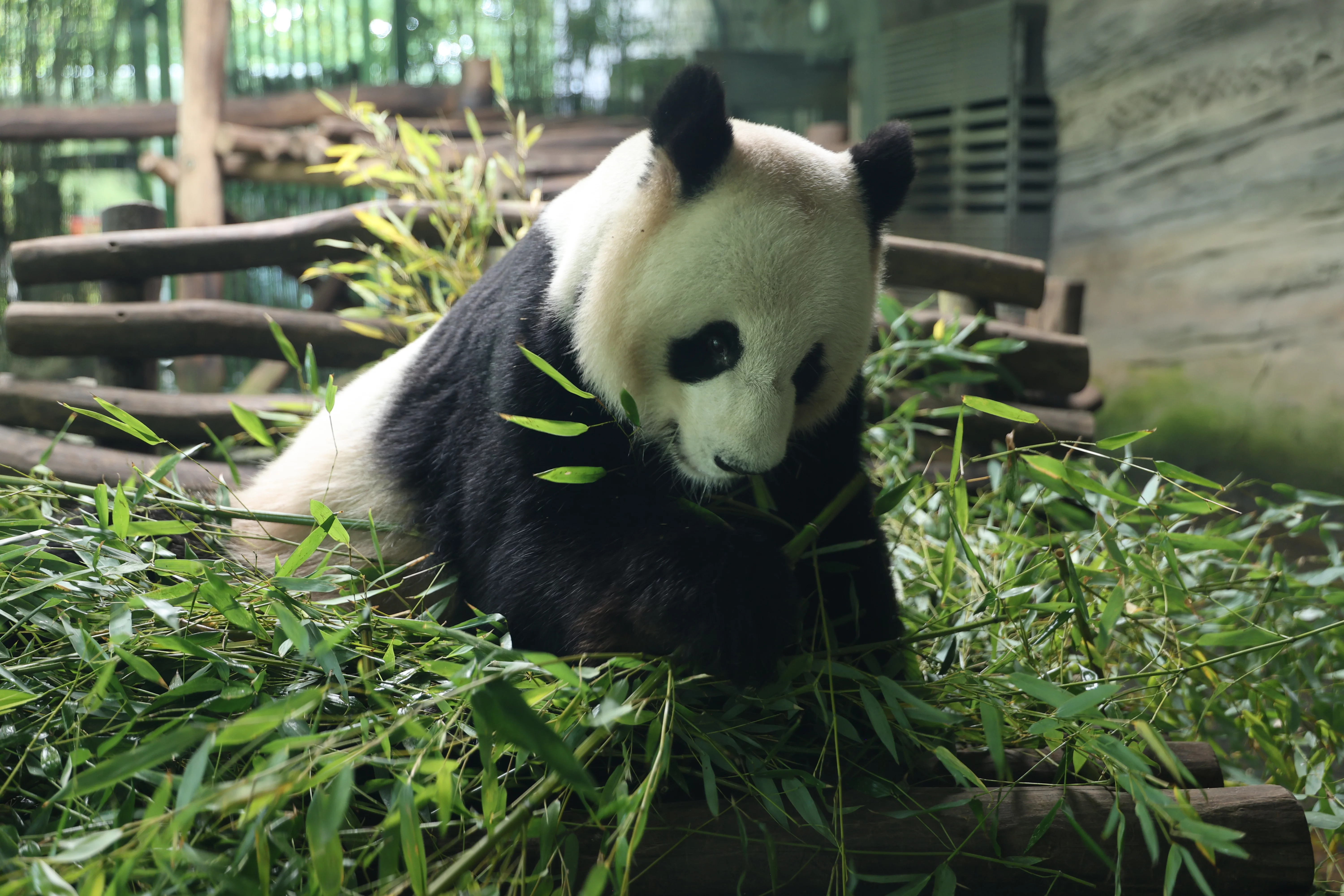 Zoo Berlin
