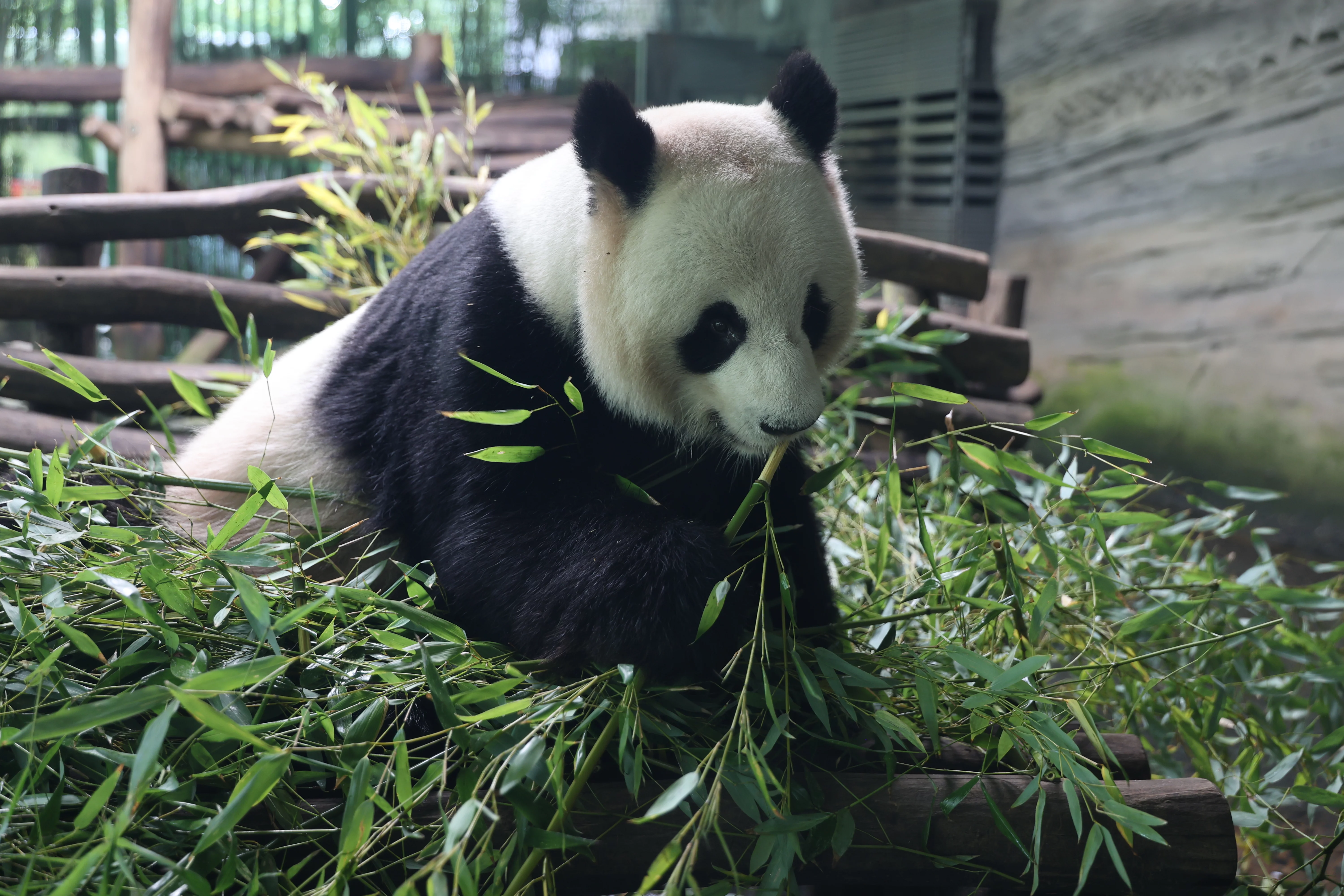 Zoo Berlin