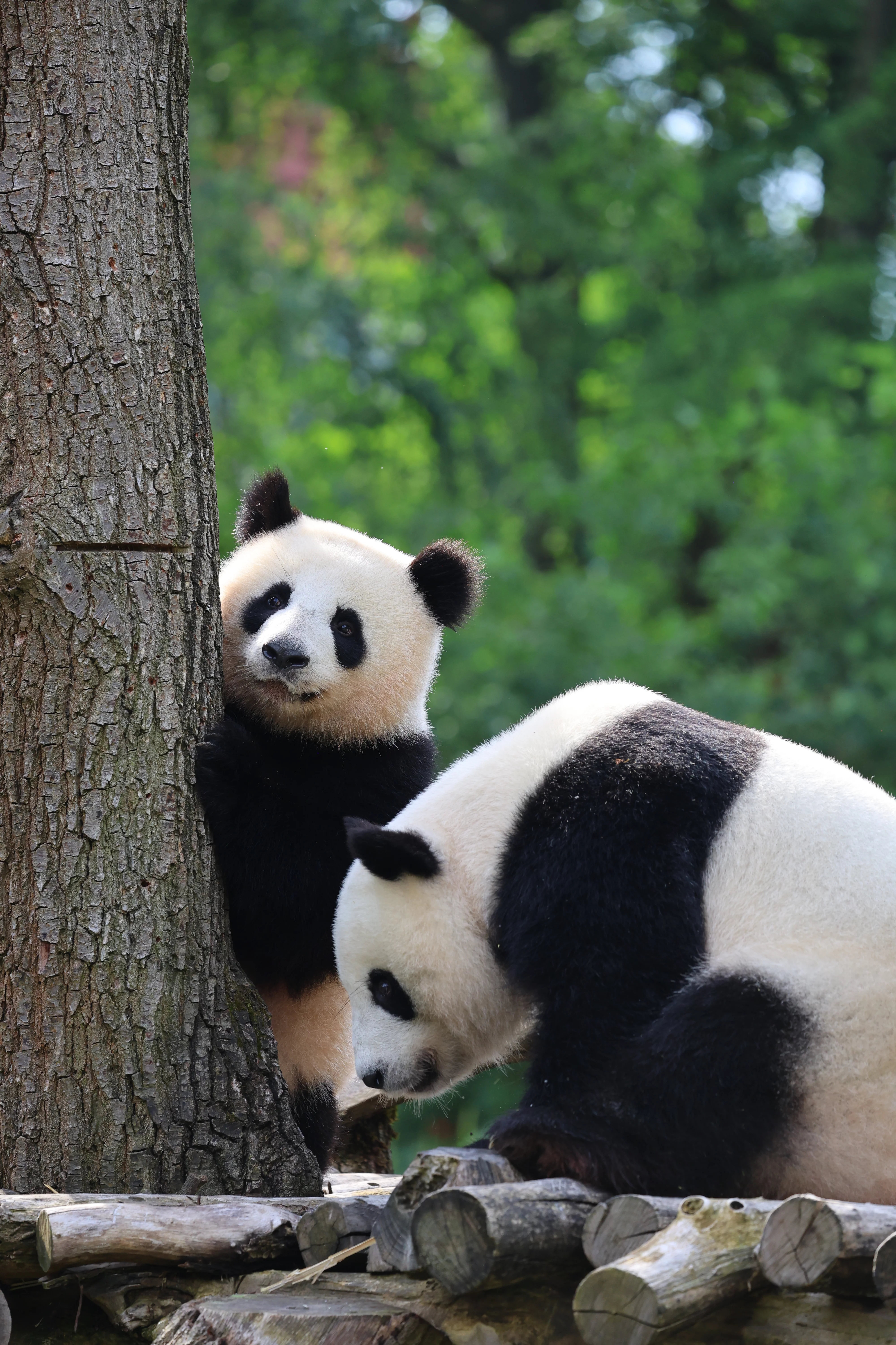 Zoo Berlin