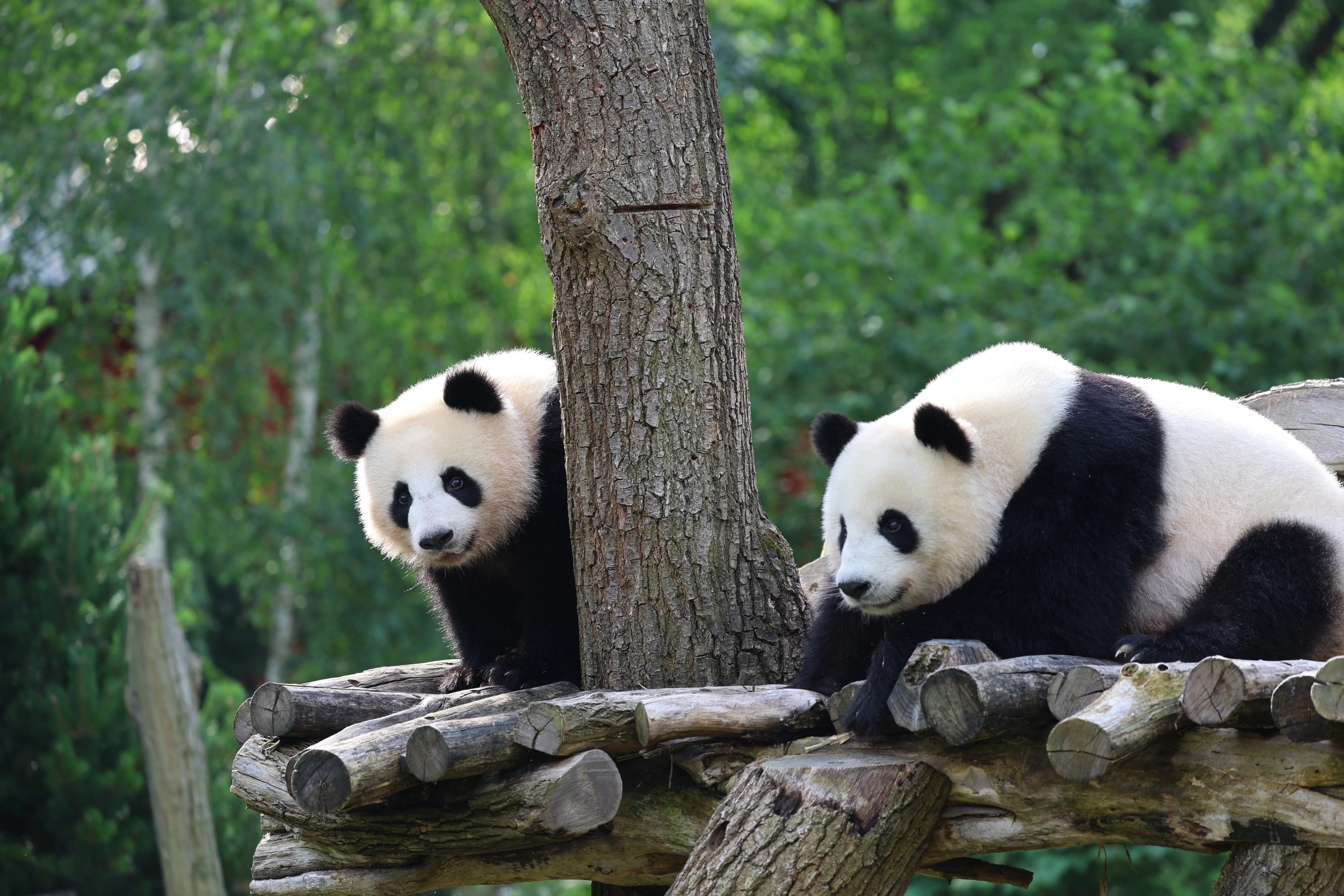 Zoo Berlin
