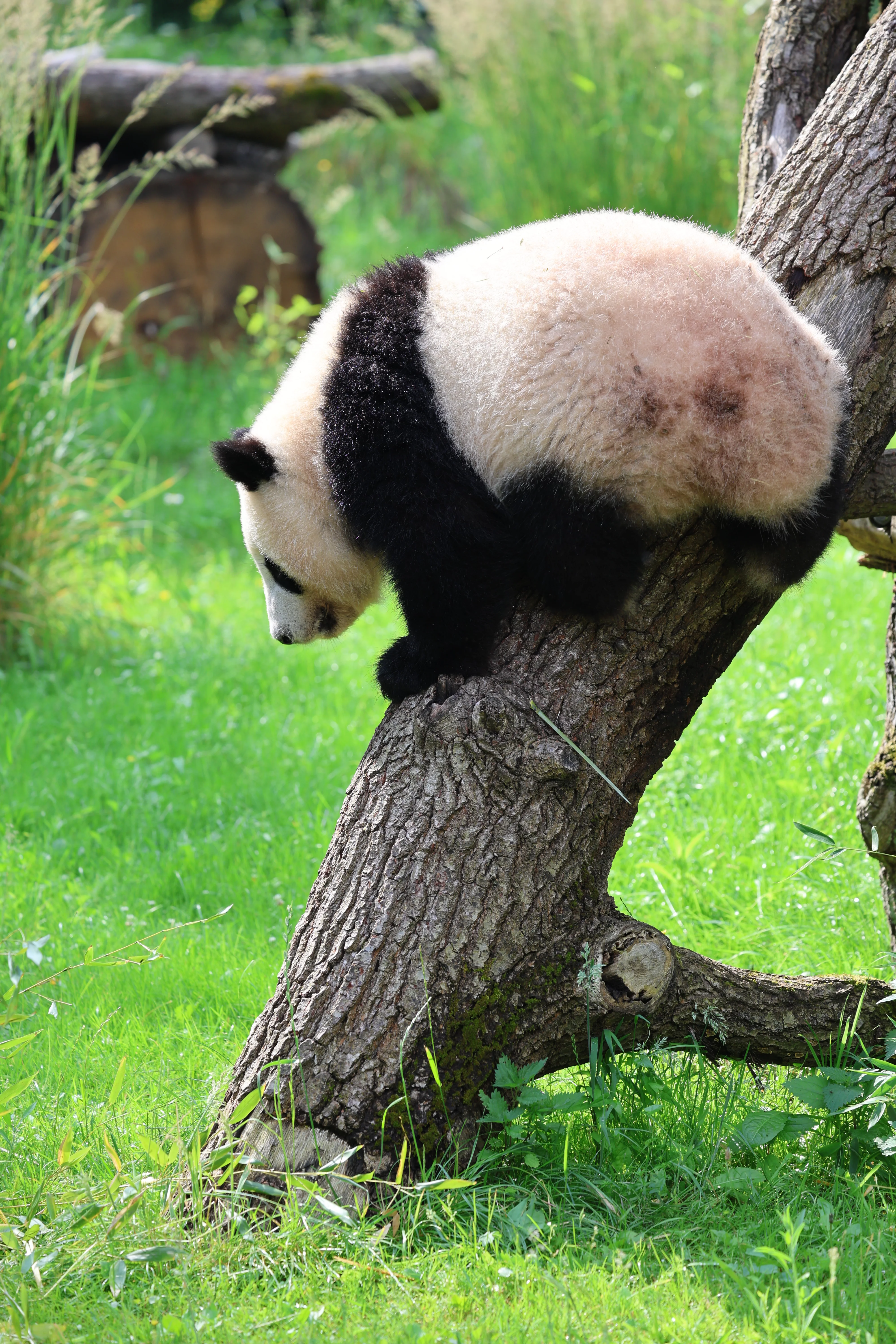 Zoo Berlin