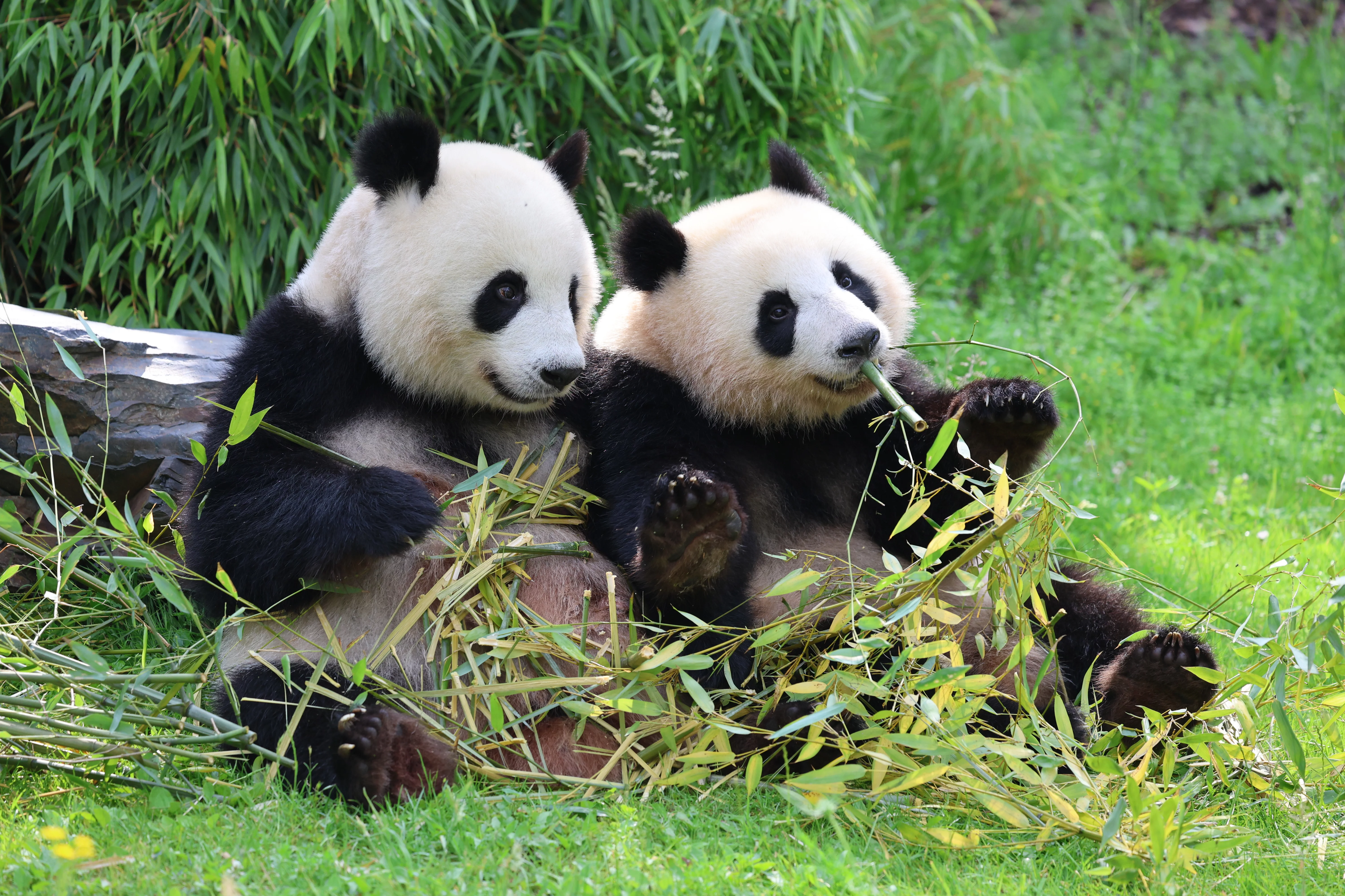 Zoo Berlin