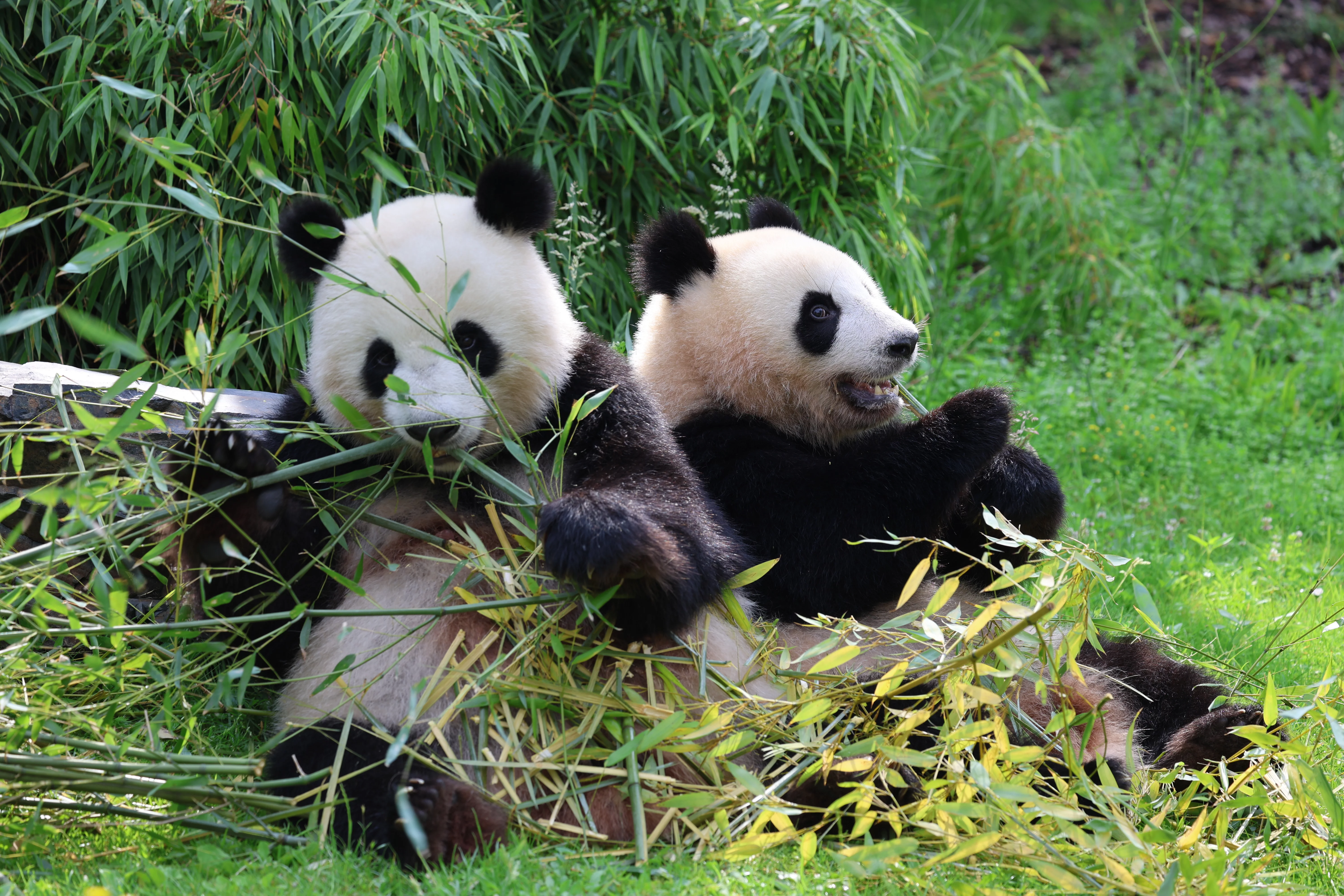 Zoo Berlin