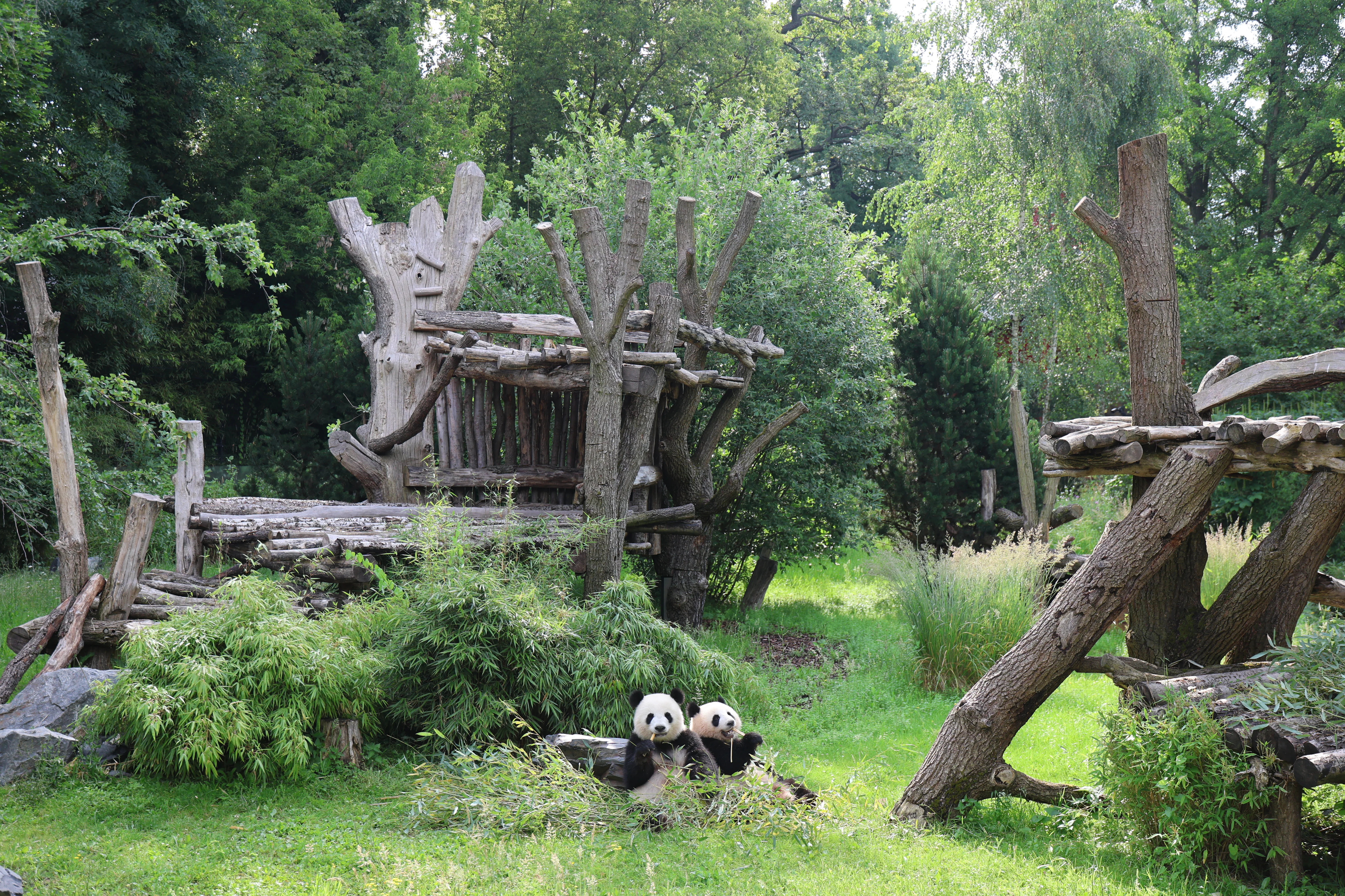 Zoo Berlin