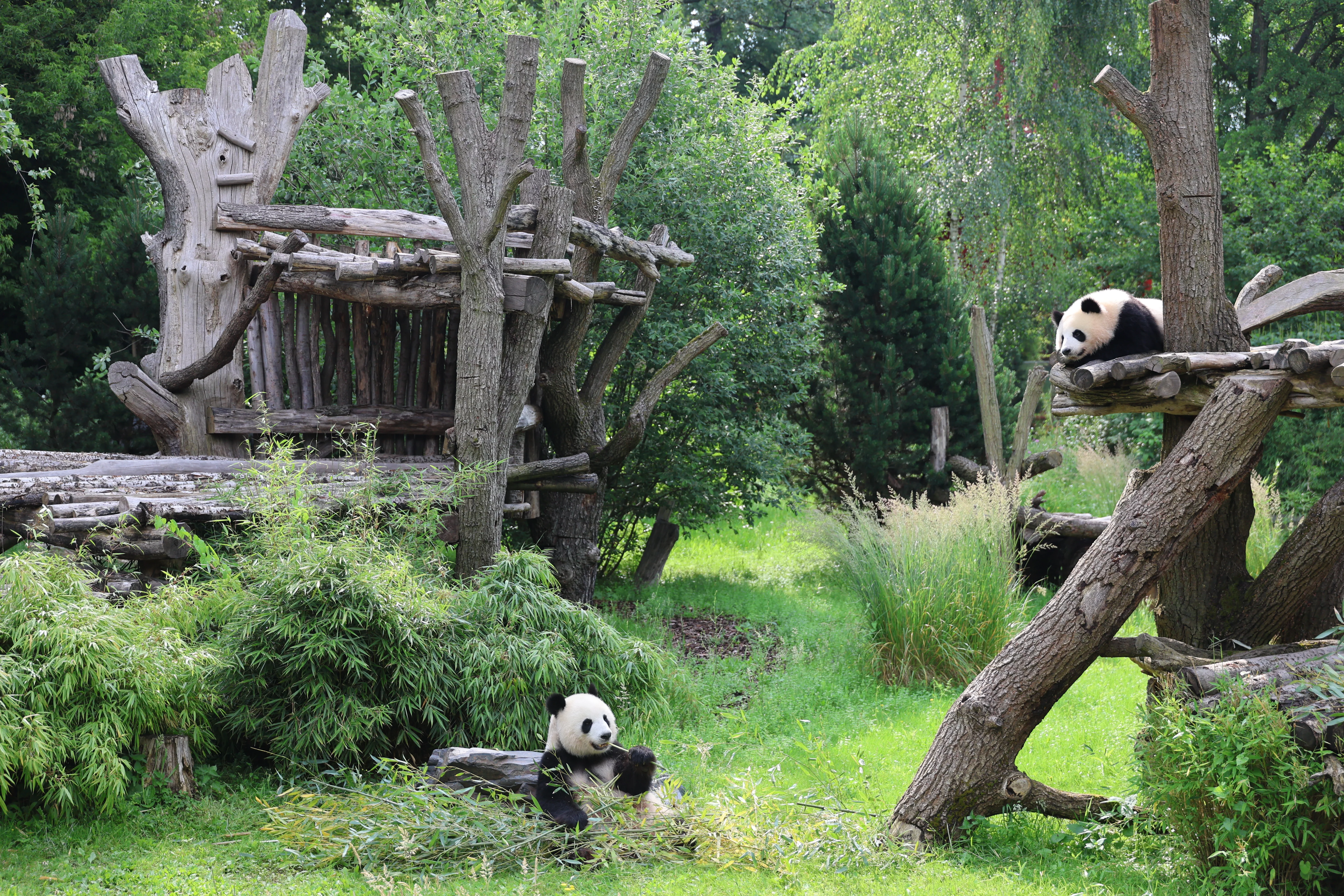 Zoo Berlin