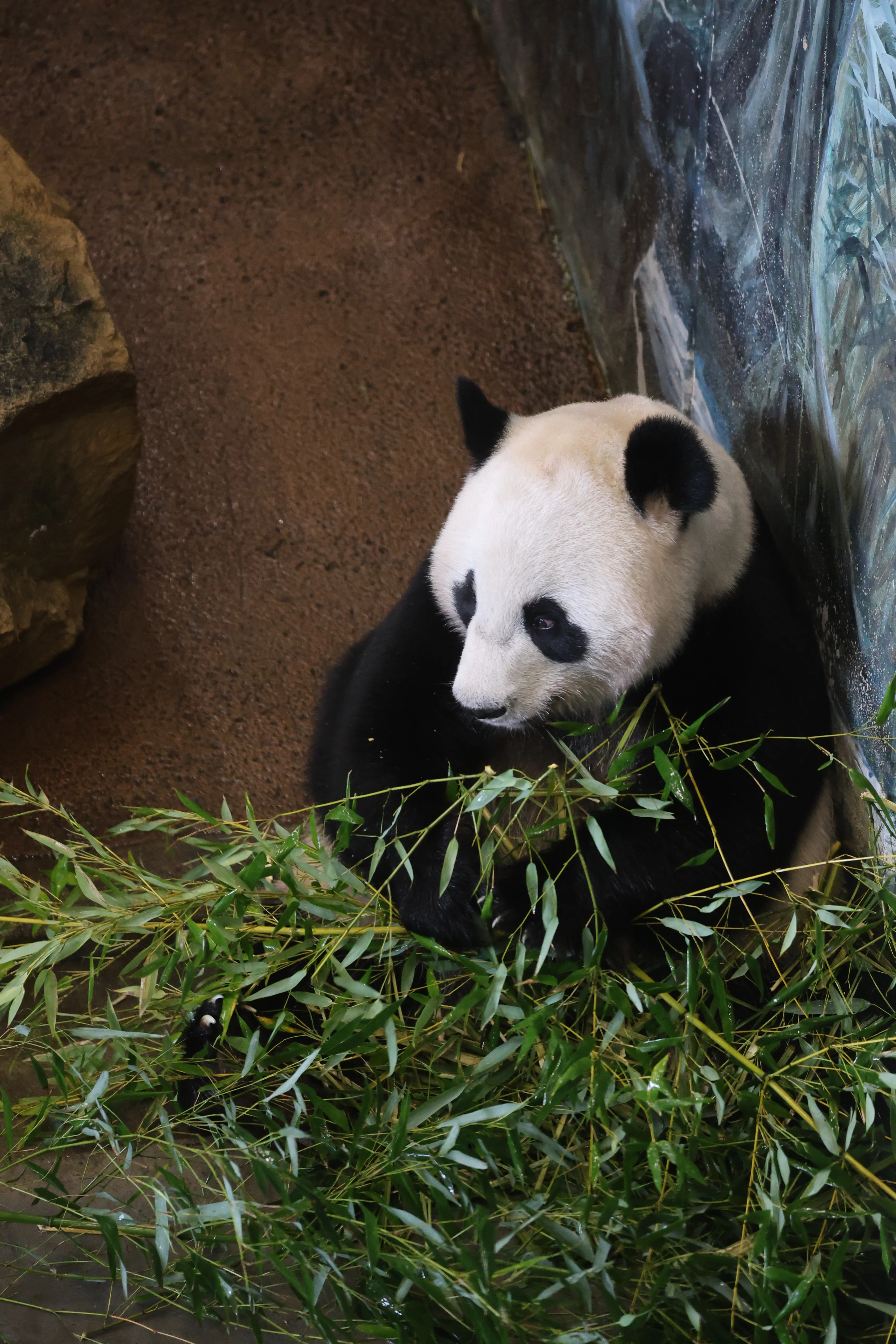Ouwehands Dierenpark Rhenen