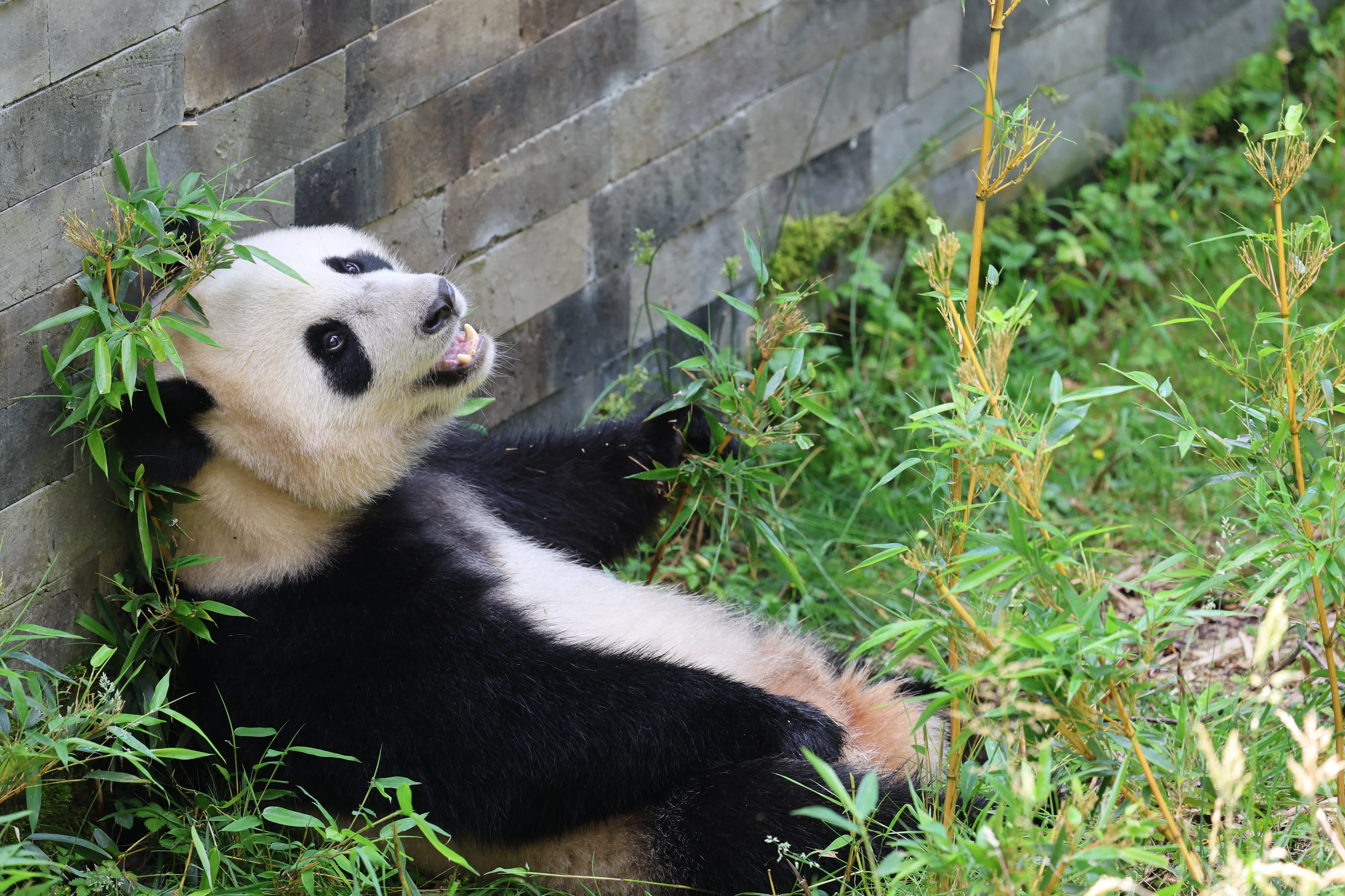 Ouwehands Dierenpark Rhenen