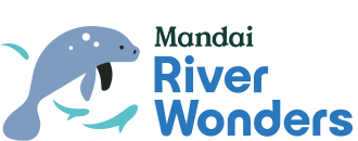 Mandai River Wonders