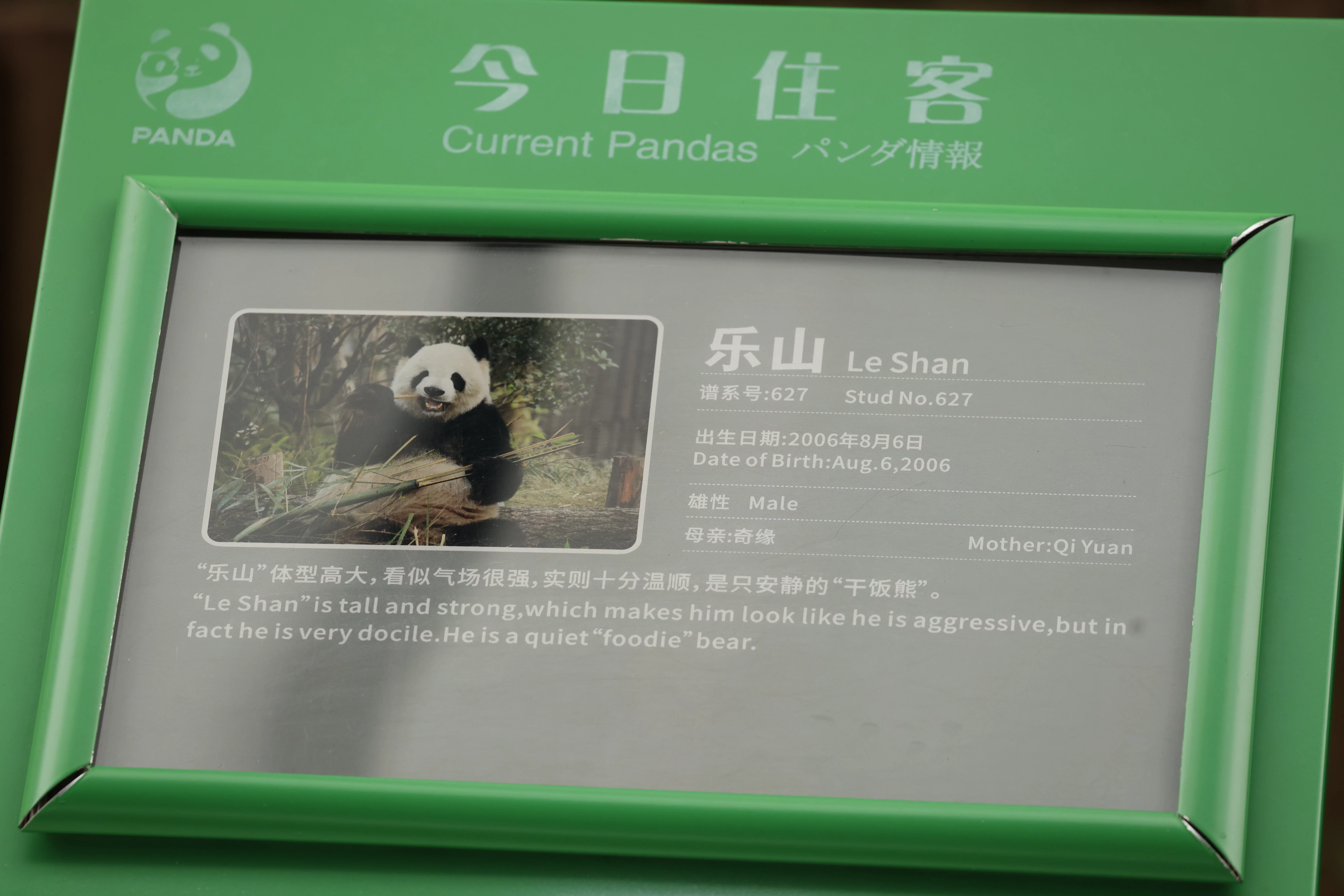 Chengdu Research Base of Giant Panda Breeding