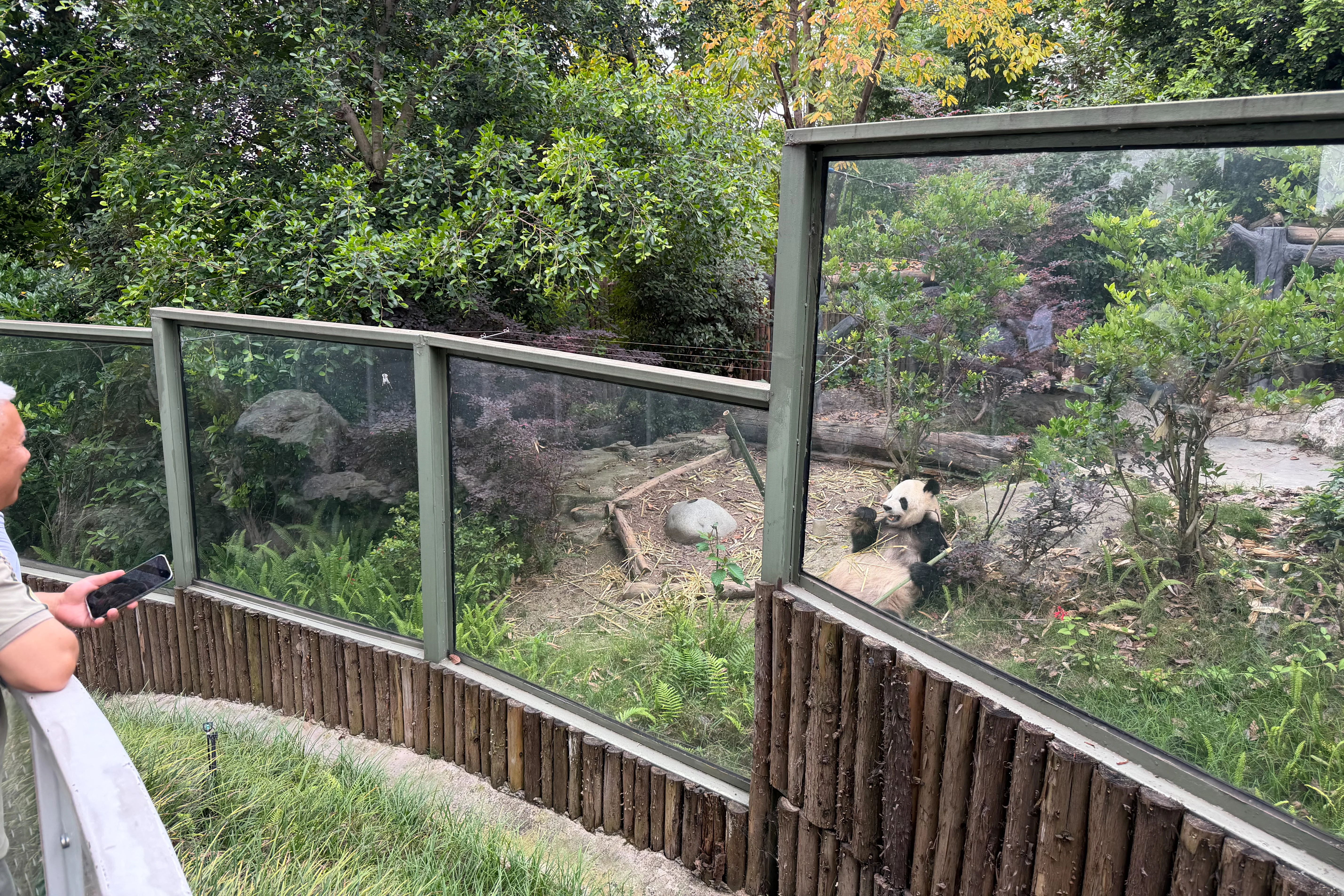 Chengdu Research Base of Giant Panda Breeding