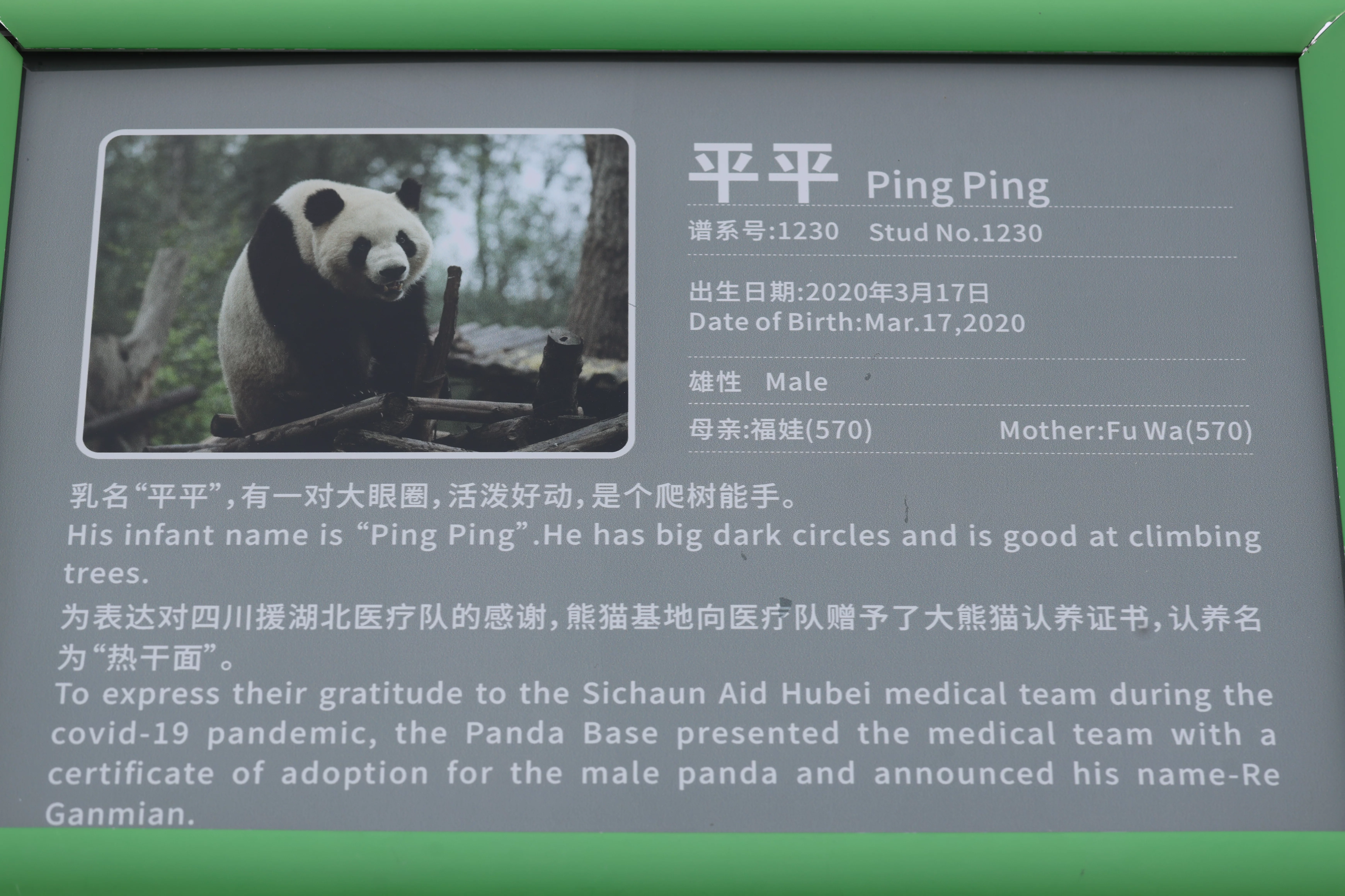 Chengdu Research Base of Giant Panda Breeding