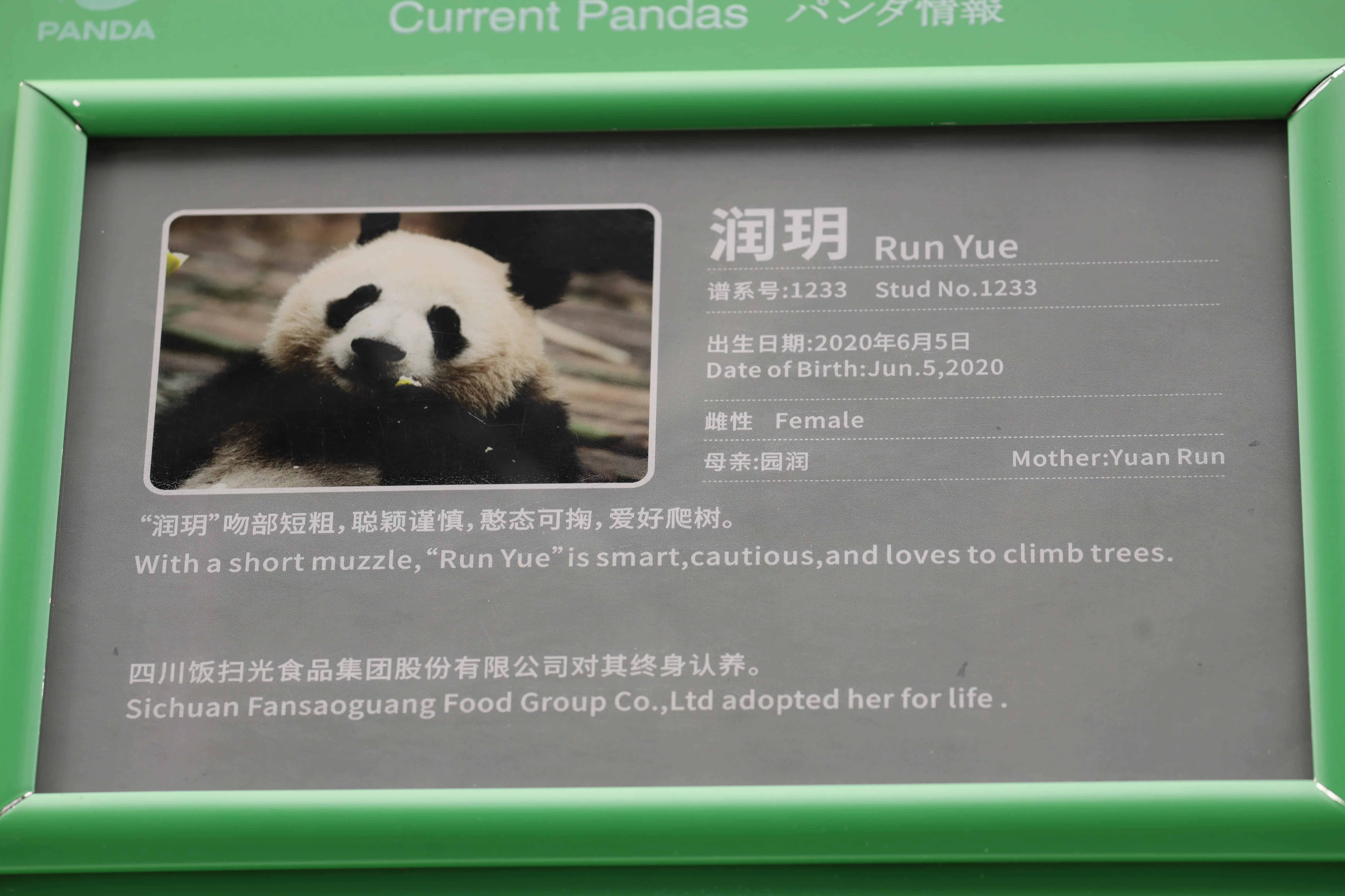 Chengdu Research Base of Giant Panda Breeding