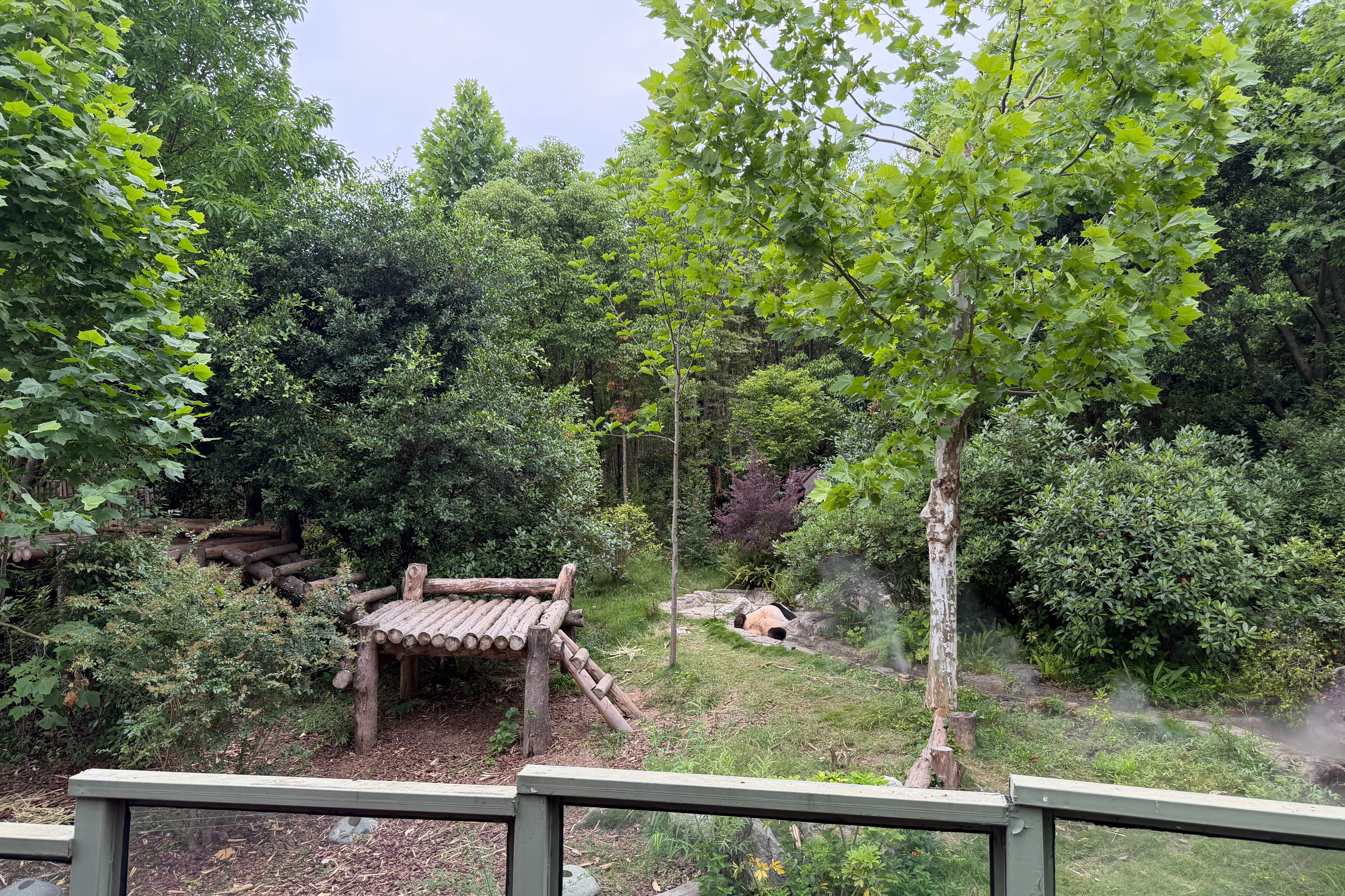Chengdu Research Base of Giant Panda Breeding