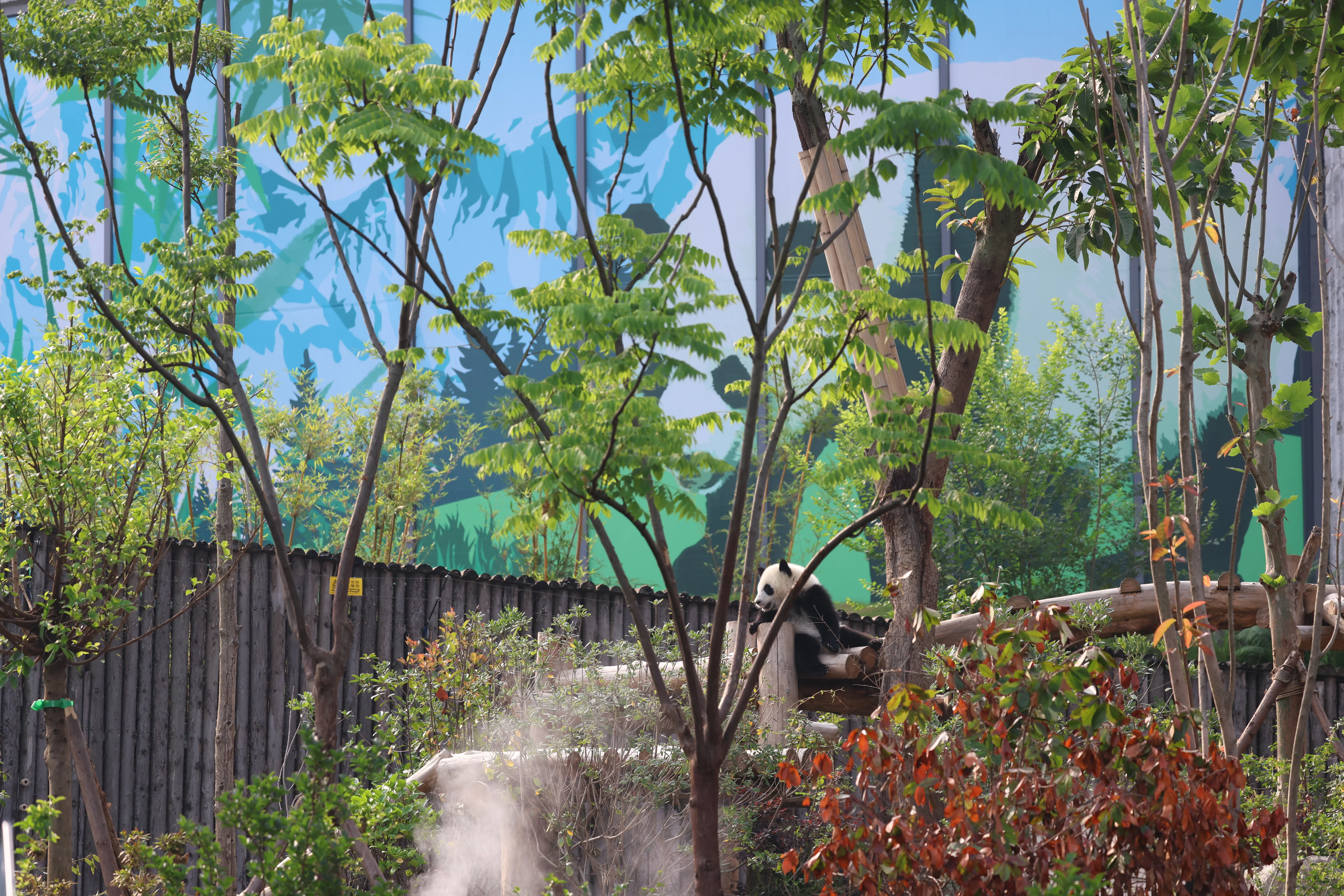 Chengdu Research Base of Giant Panda Breeding