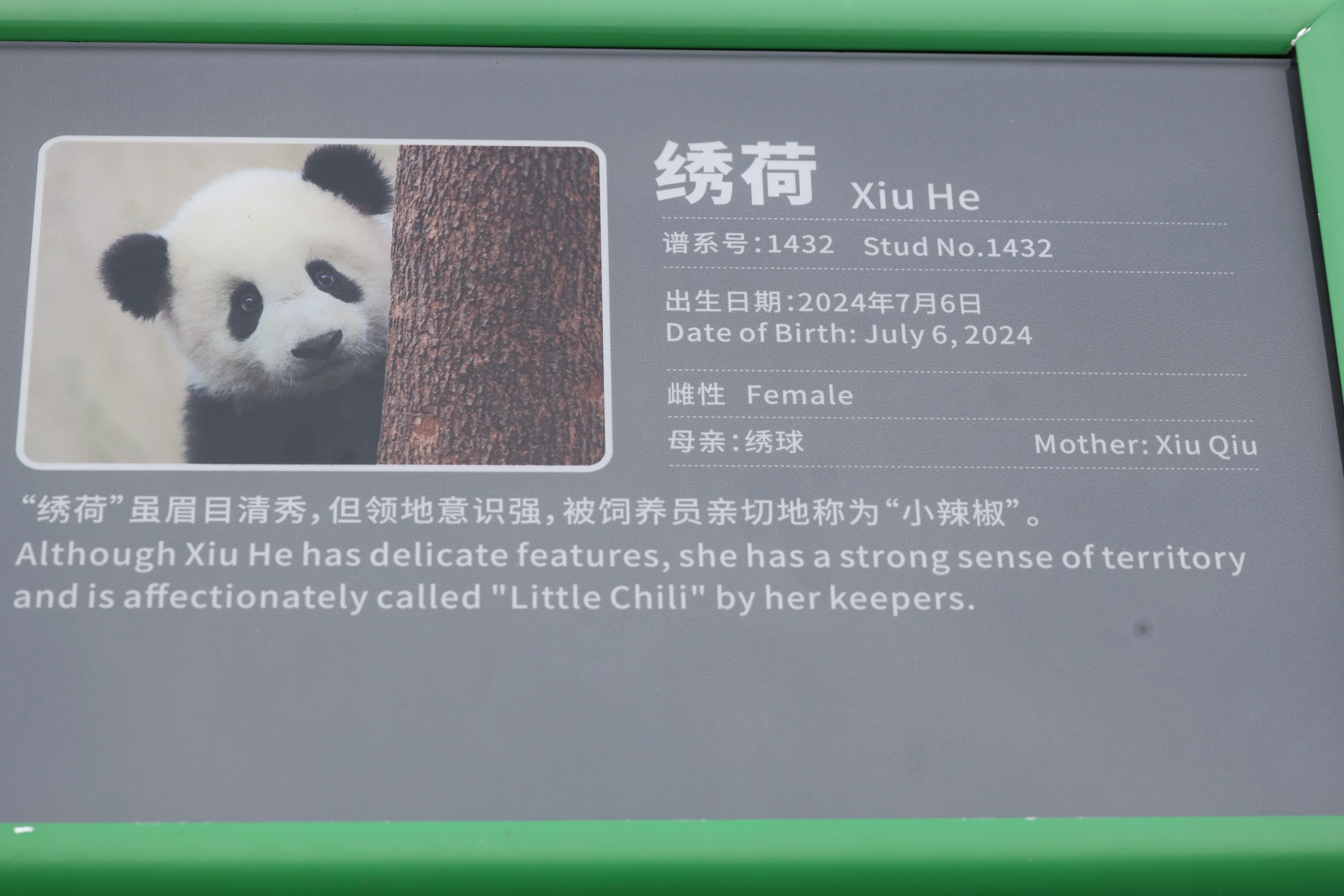 Chengdu Research Base of Giant Panda Breeding