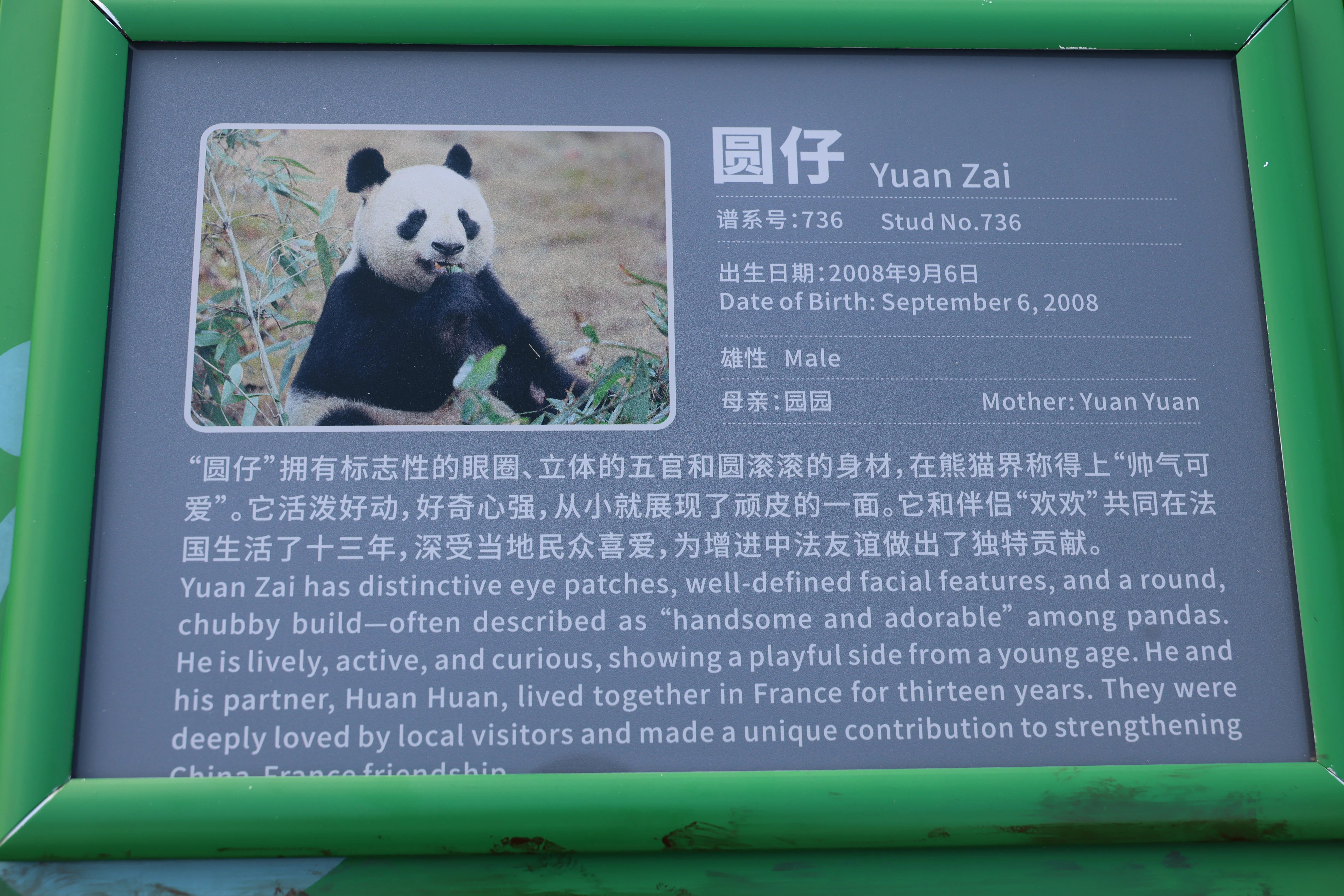 Chengdu Research Base of Giant Panda Breeding