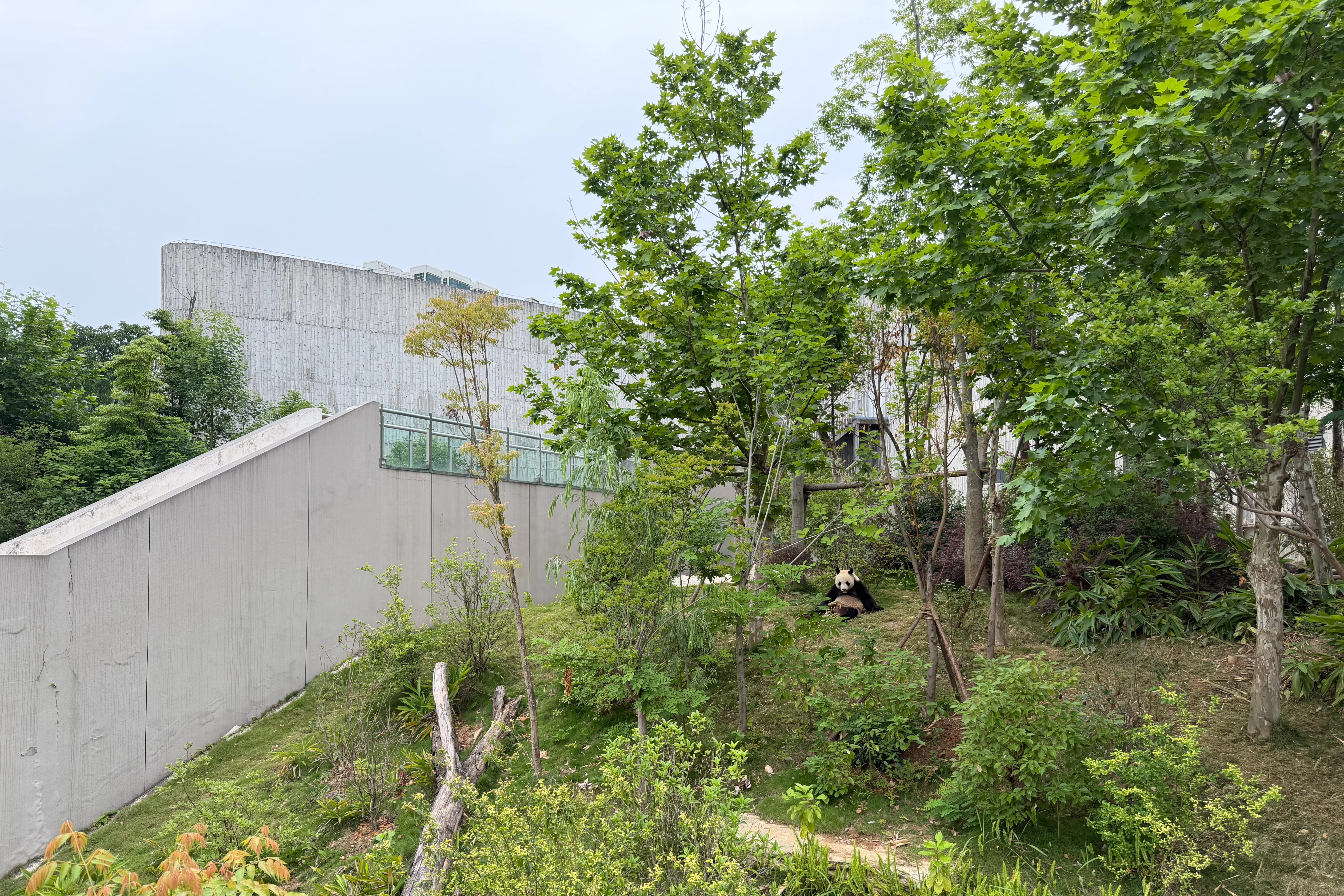 Chengdu Research Base of Giant Panda Breeding
