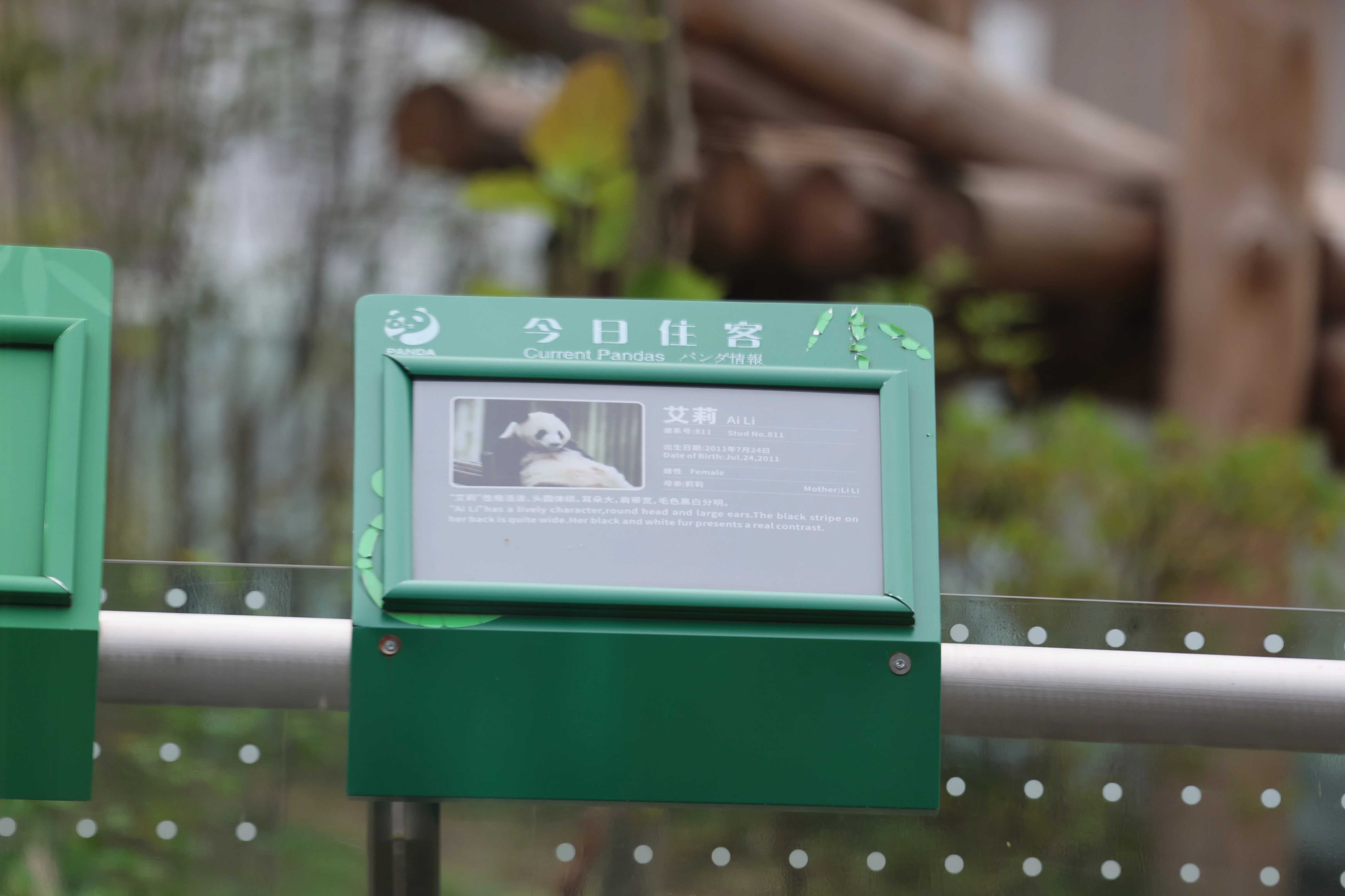 Chengdu Research Base of Giant Panda Breeding