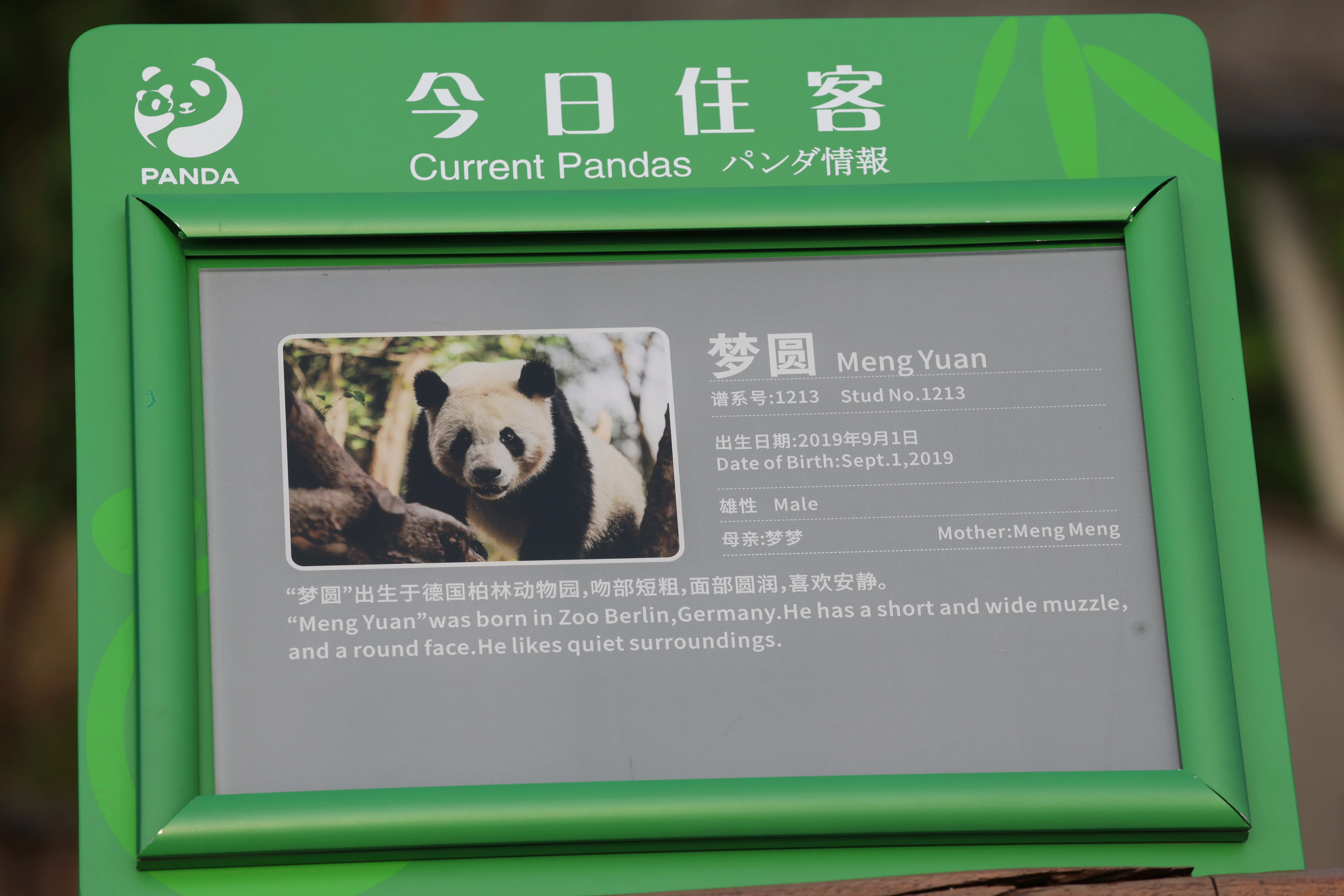 Chengdu Research Base of Giant Panda Breeding