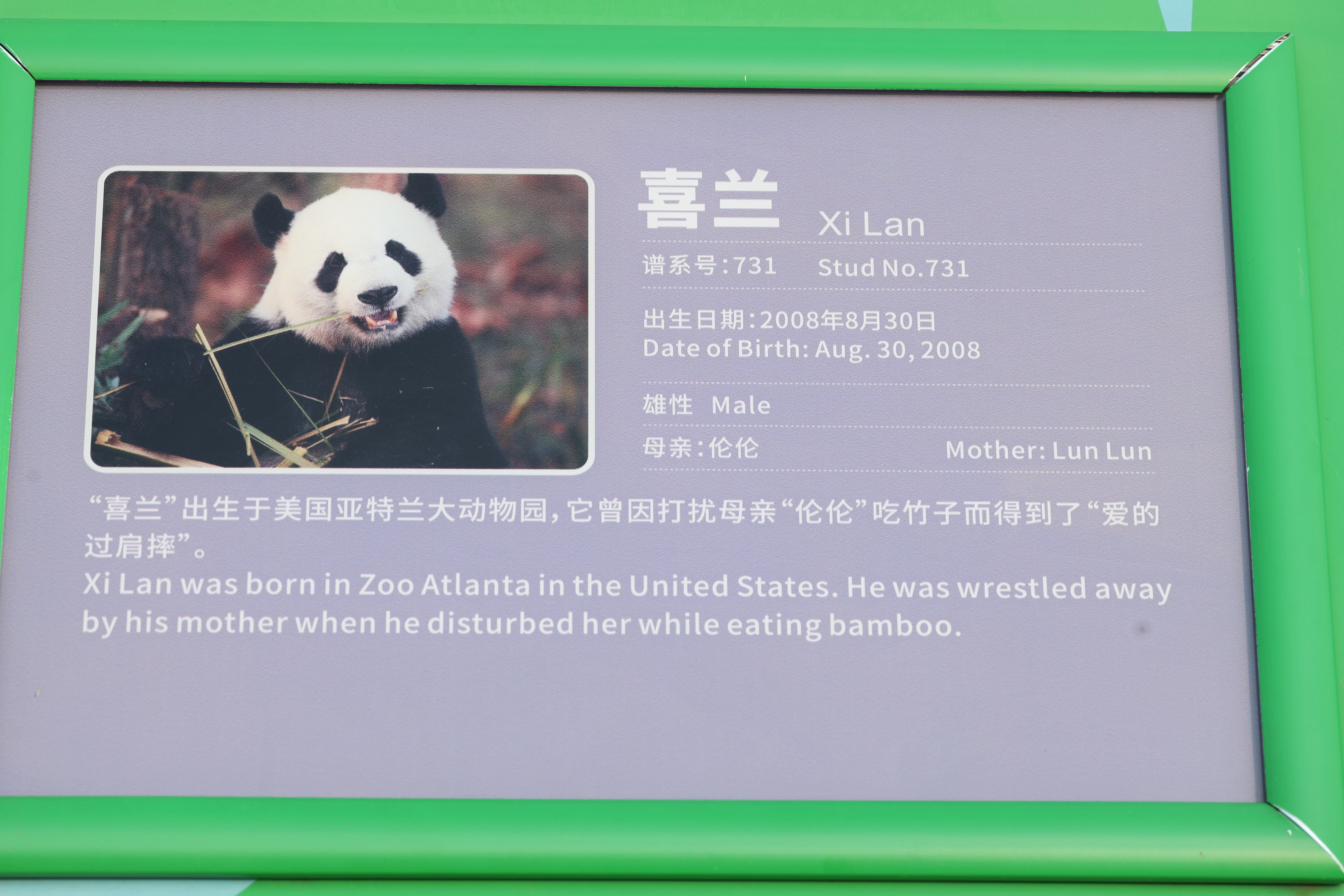 Chengdu Research Base of Giant Panda Breeding