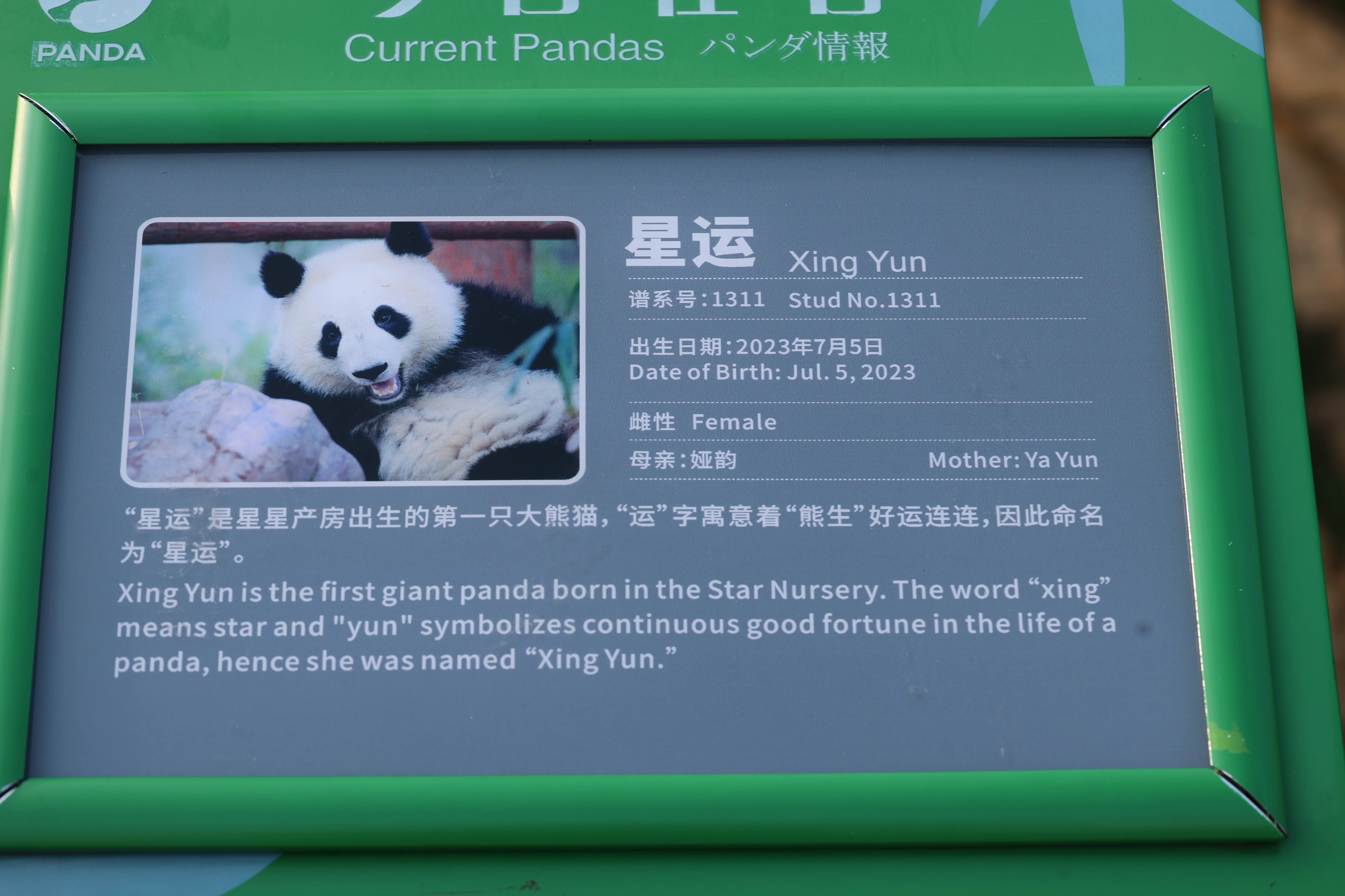 Chengdu Research Base of Giant Panda Breeding