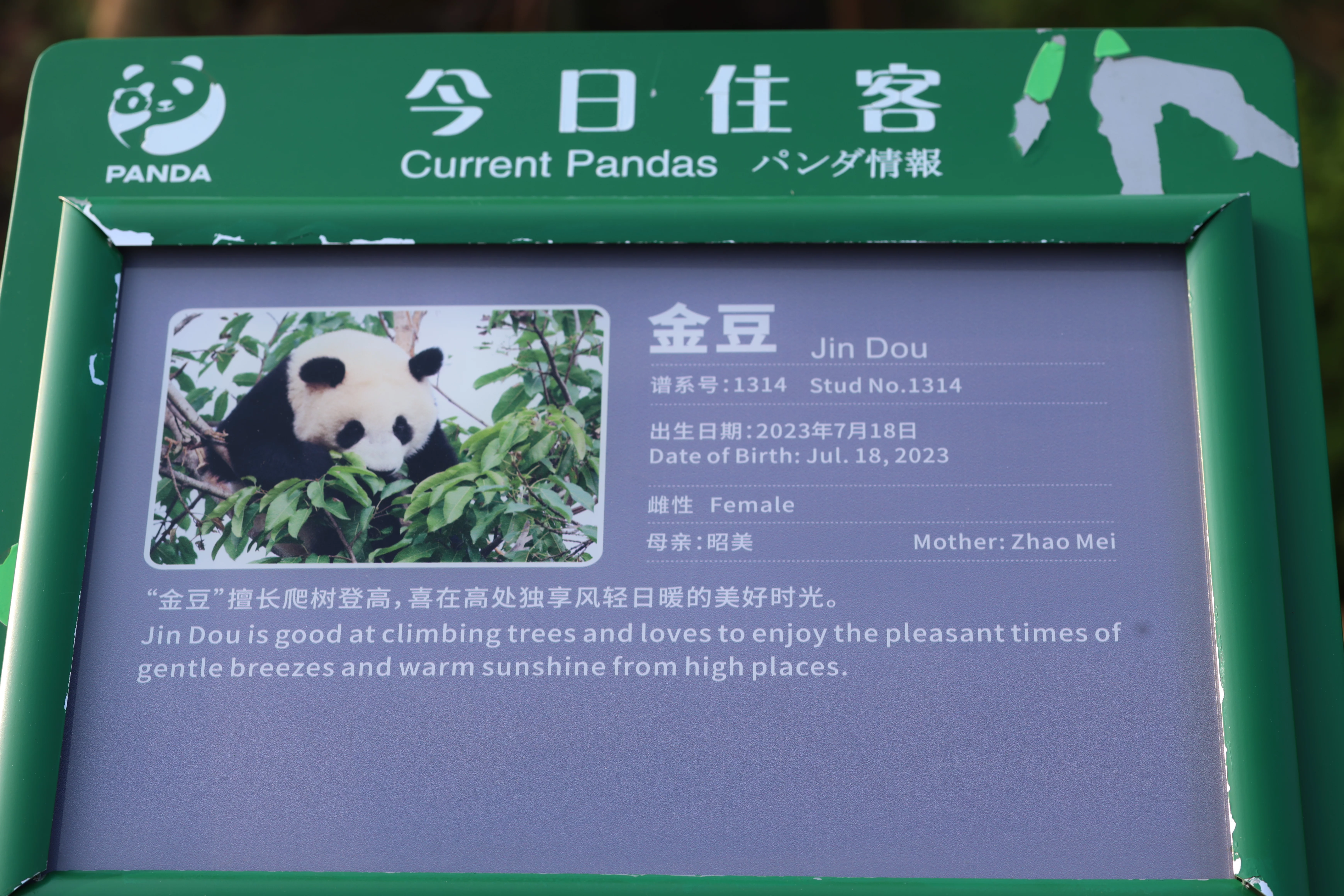 Chengdu Research Base of Giant Panda Breeding