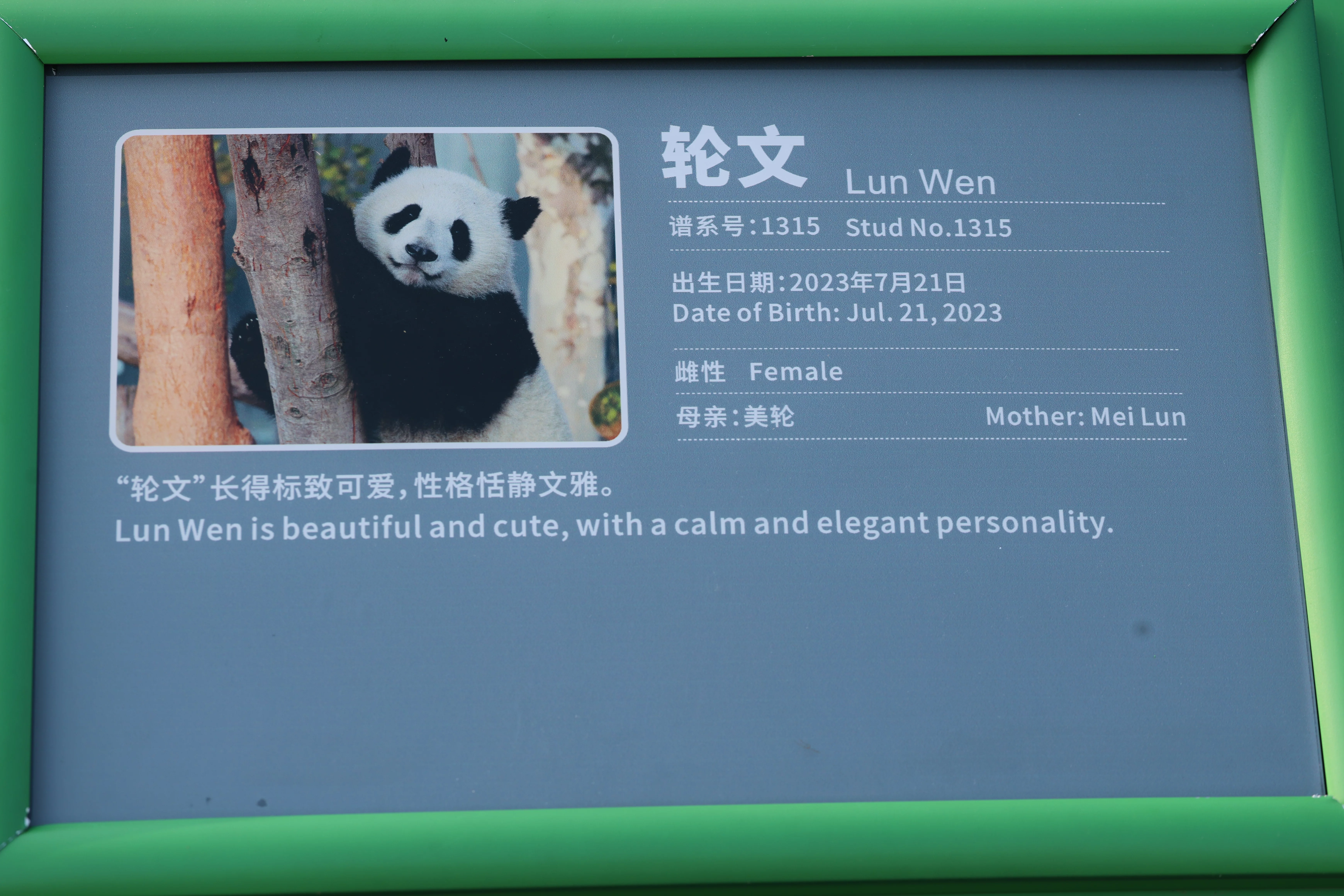 Chengdu Research Base of Giant Panda Breeding