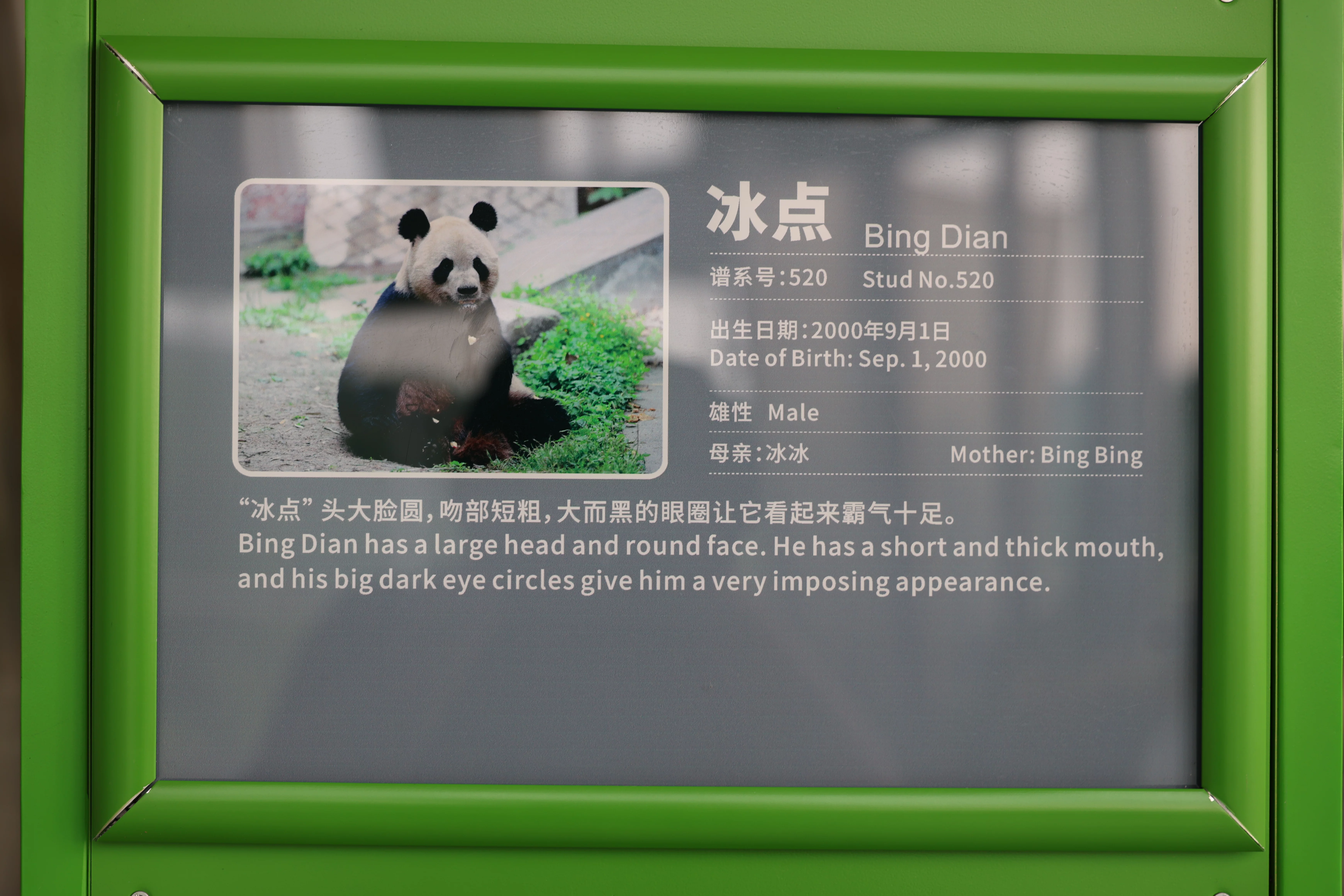 Chengdu Research Base of Giant Panda Breeding
