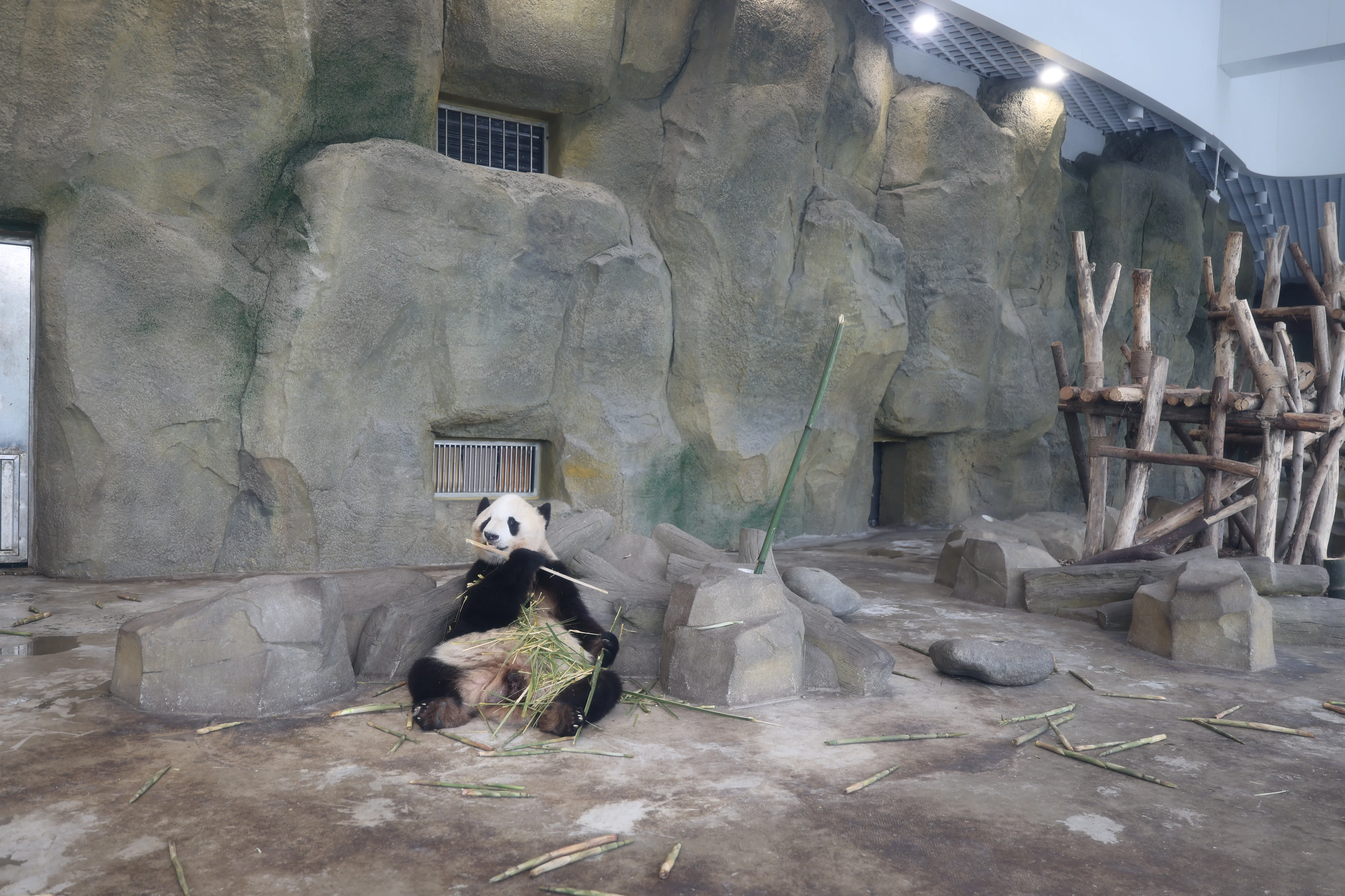 Chengdu Research Base of Giant Panda Breeding