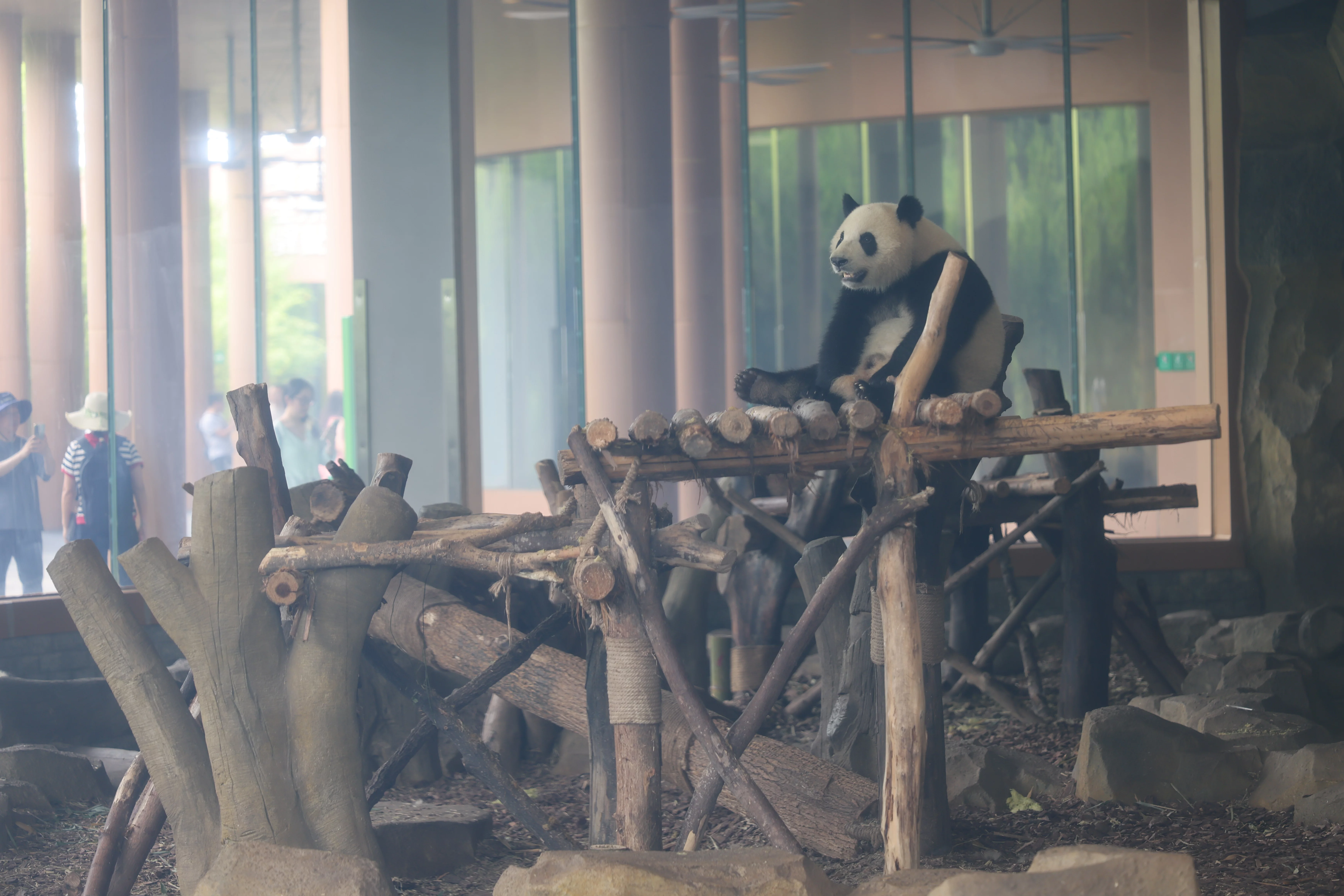 Chengdu Research Base of Giant Panda Breeding