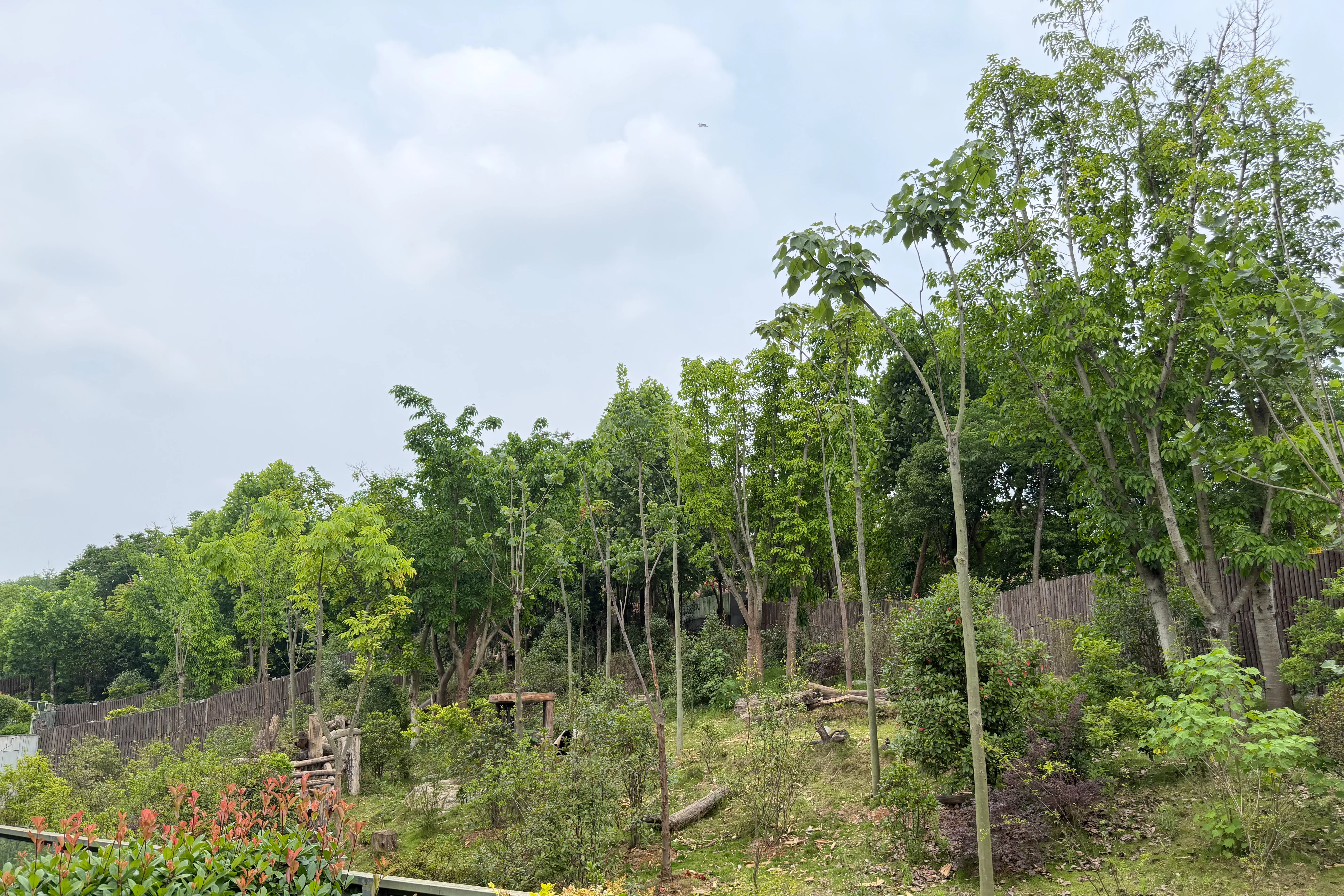 Chengdu Research Base of Giant Panda Breeding