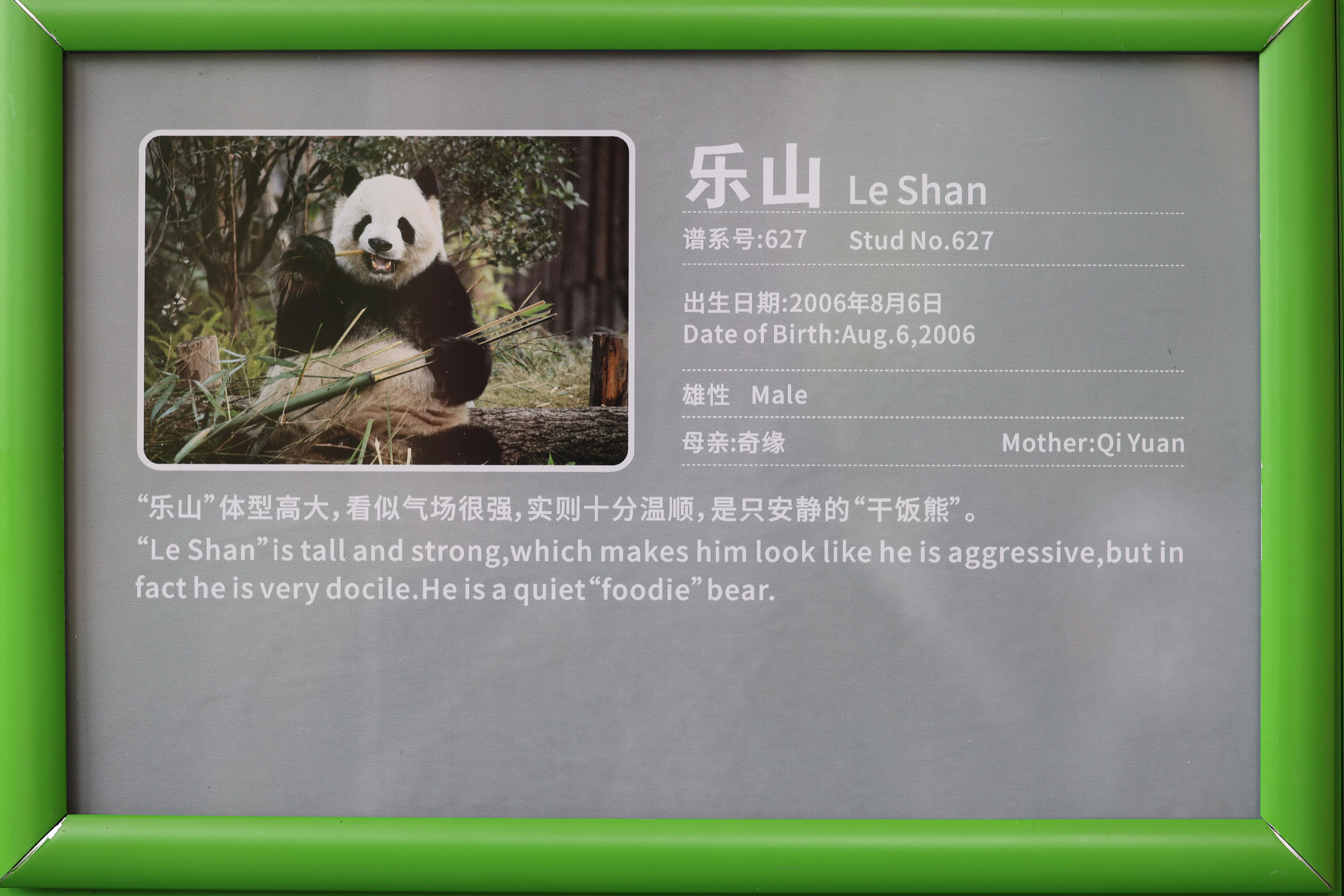 Chengdu Research Base of Giant Panda Breeding