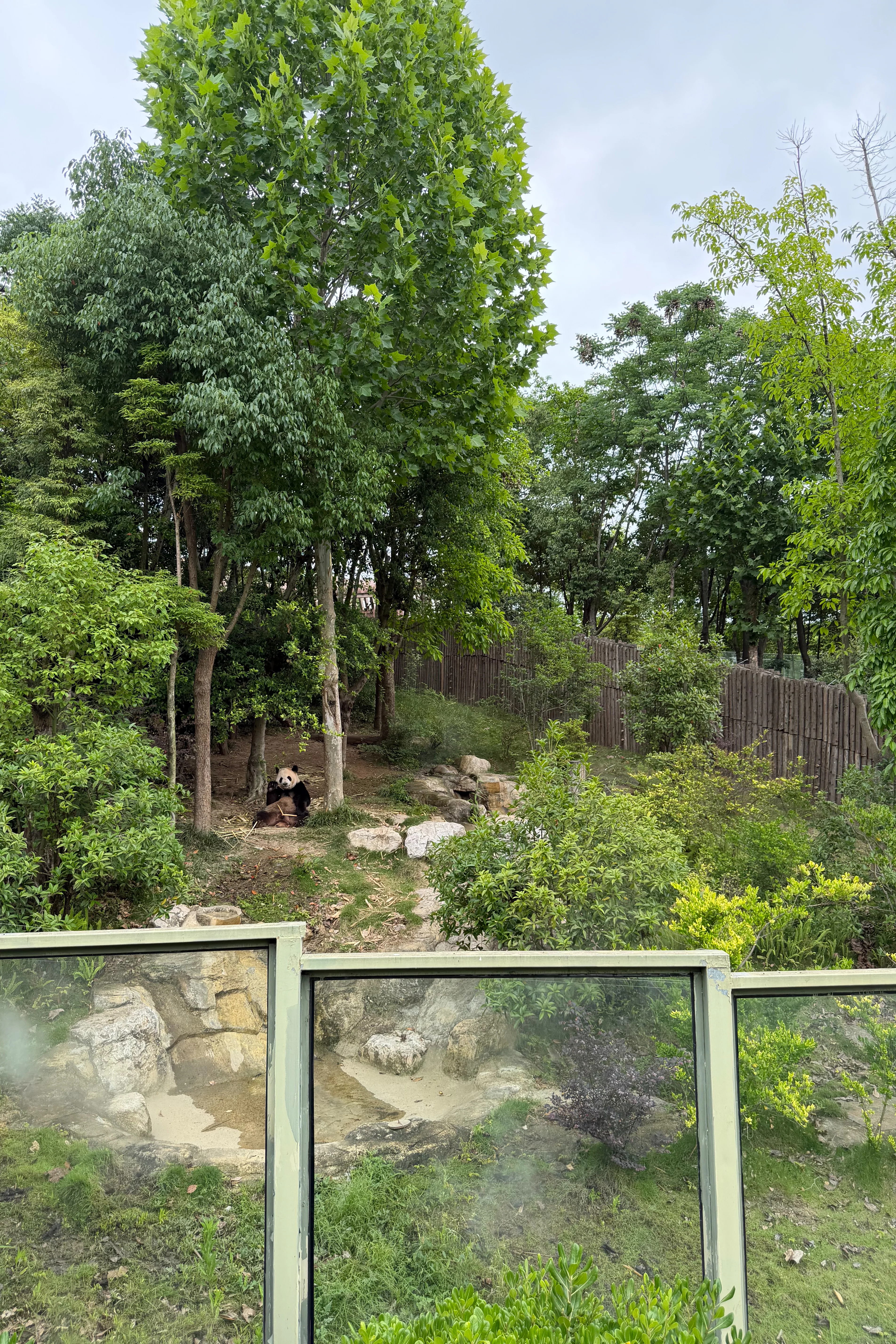 Chengdu Research Base of Giant Panda Breeding