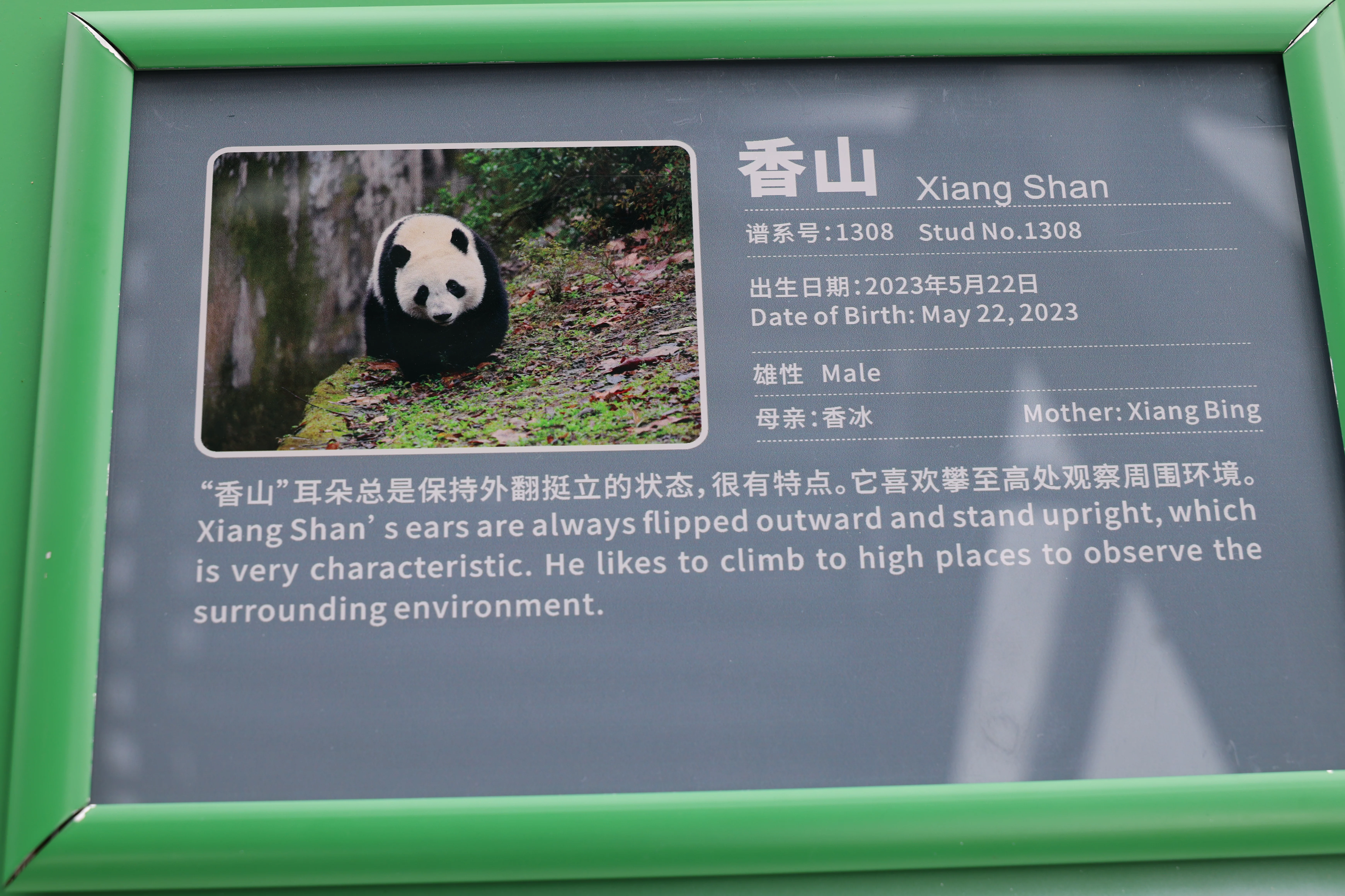 Chengdu Research Base of Giant Panda Breeding