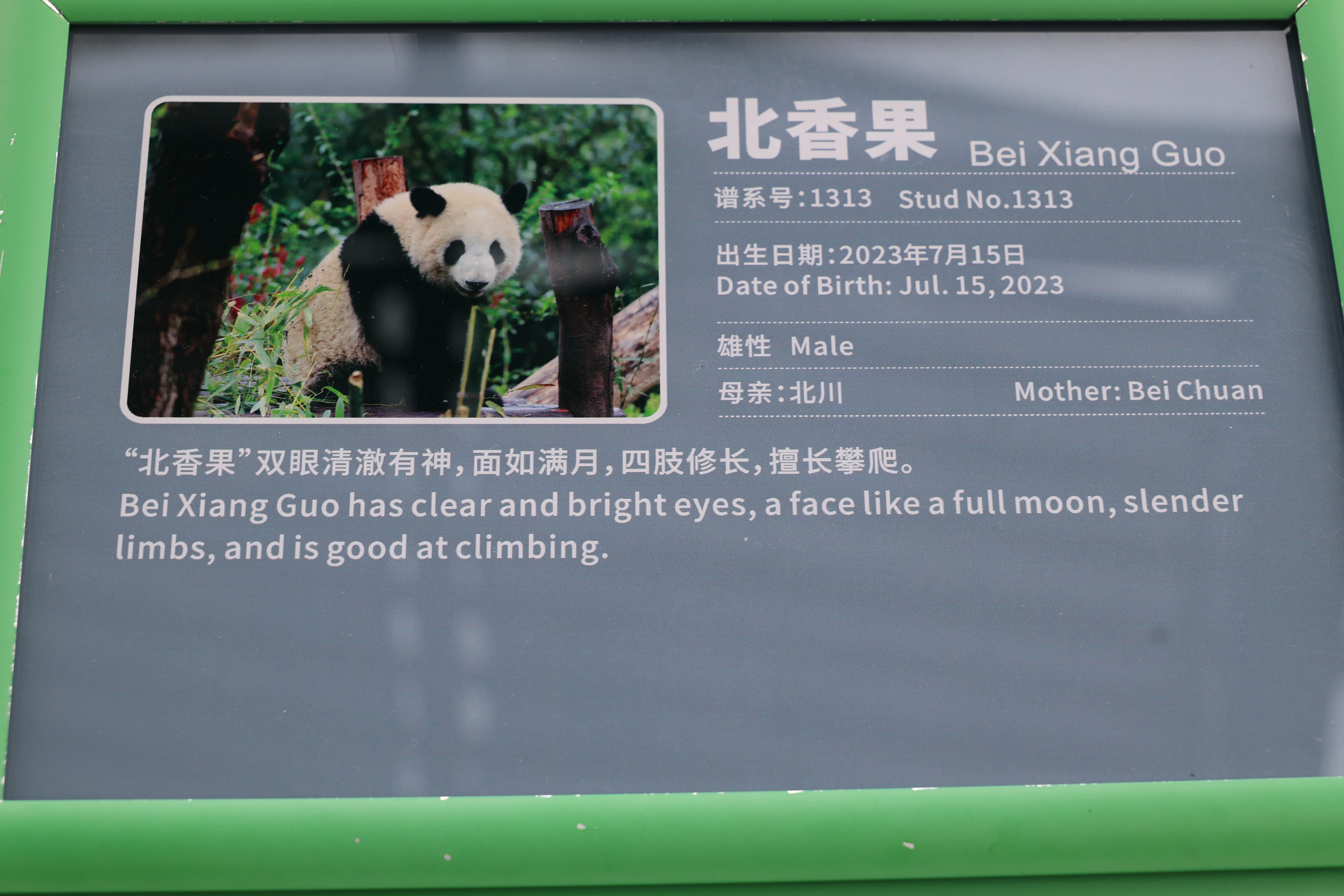 Chengdu Research Base of Giant Panda Breeding