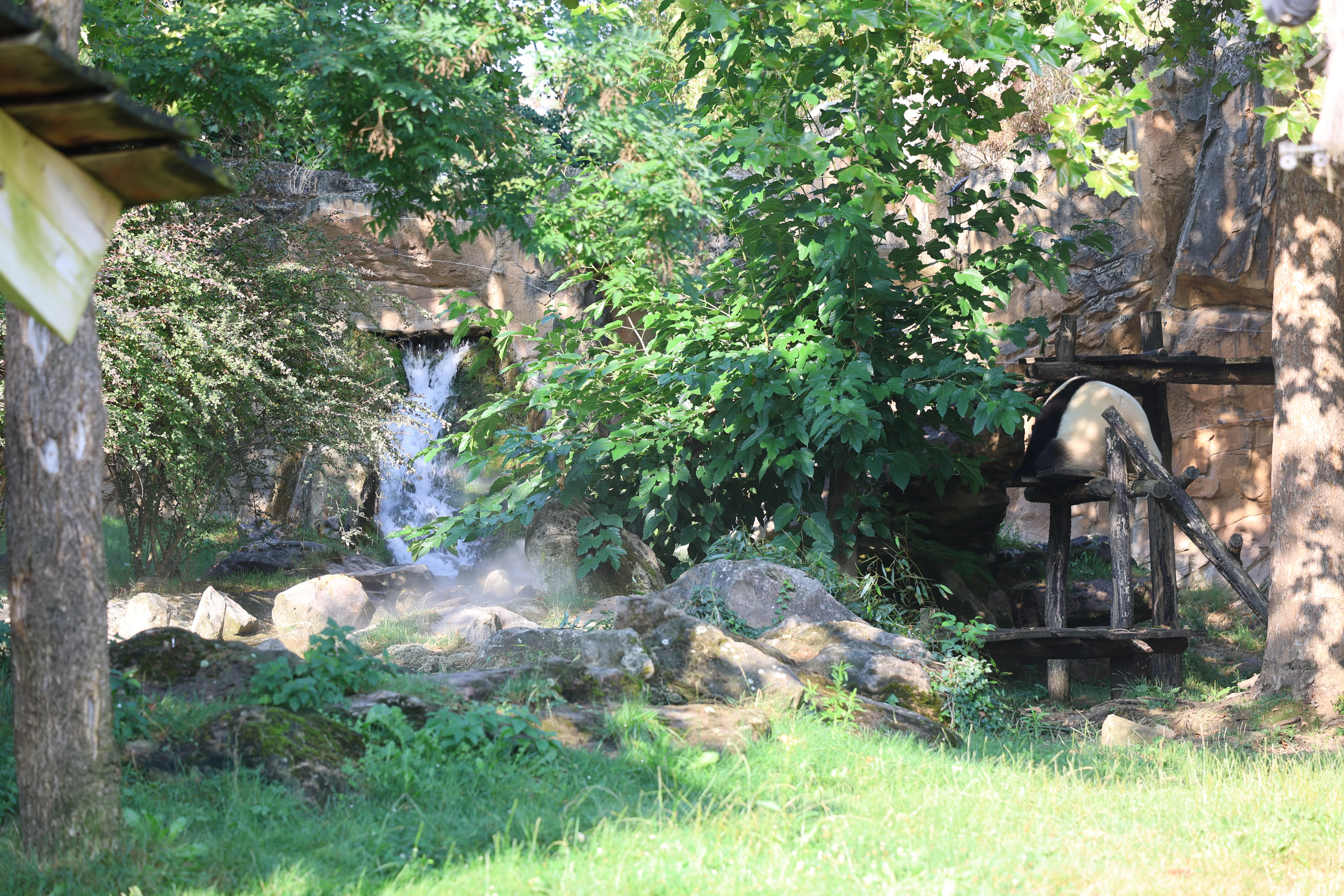 ZooParc de Beauval