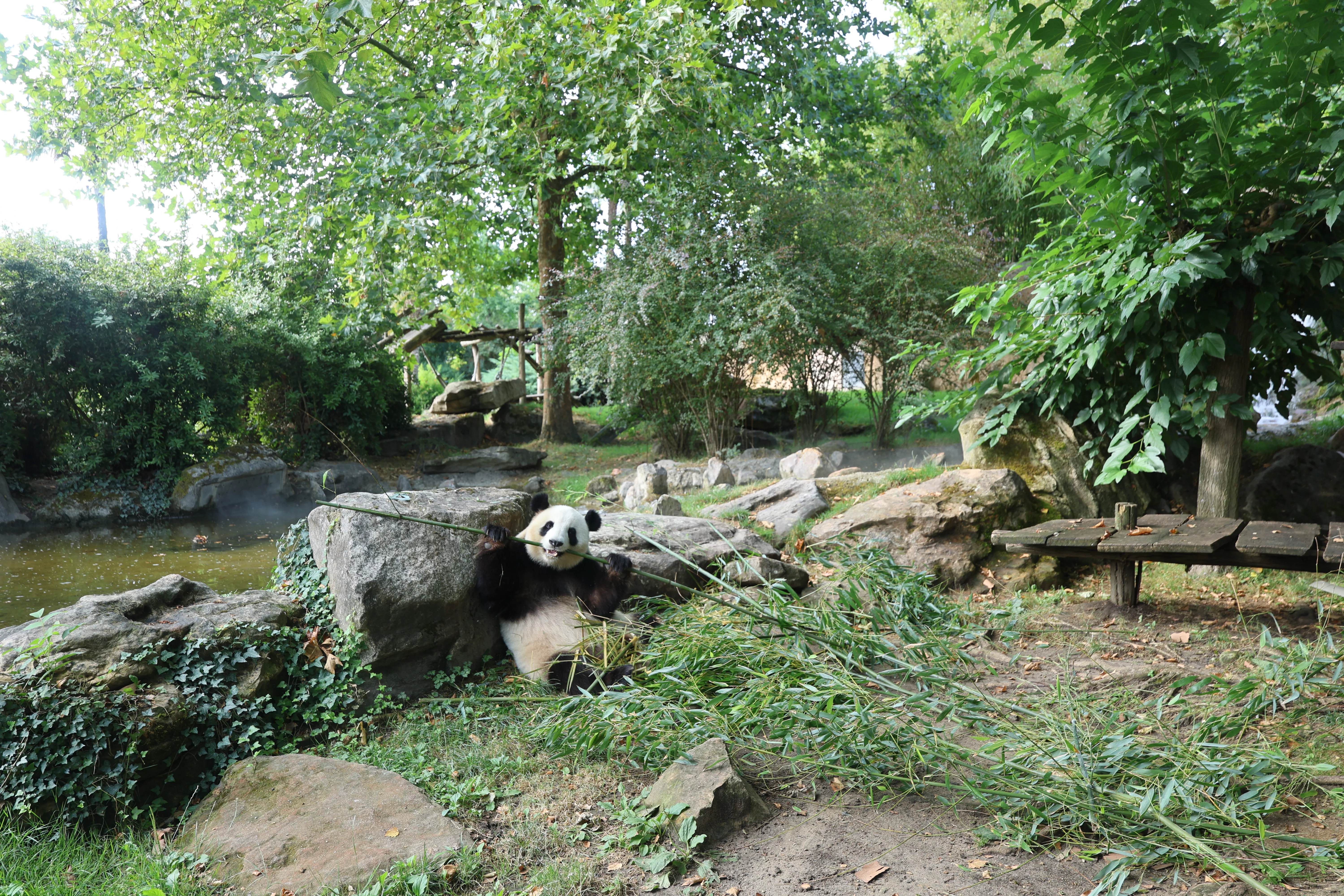 ZooParc de Beauval