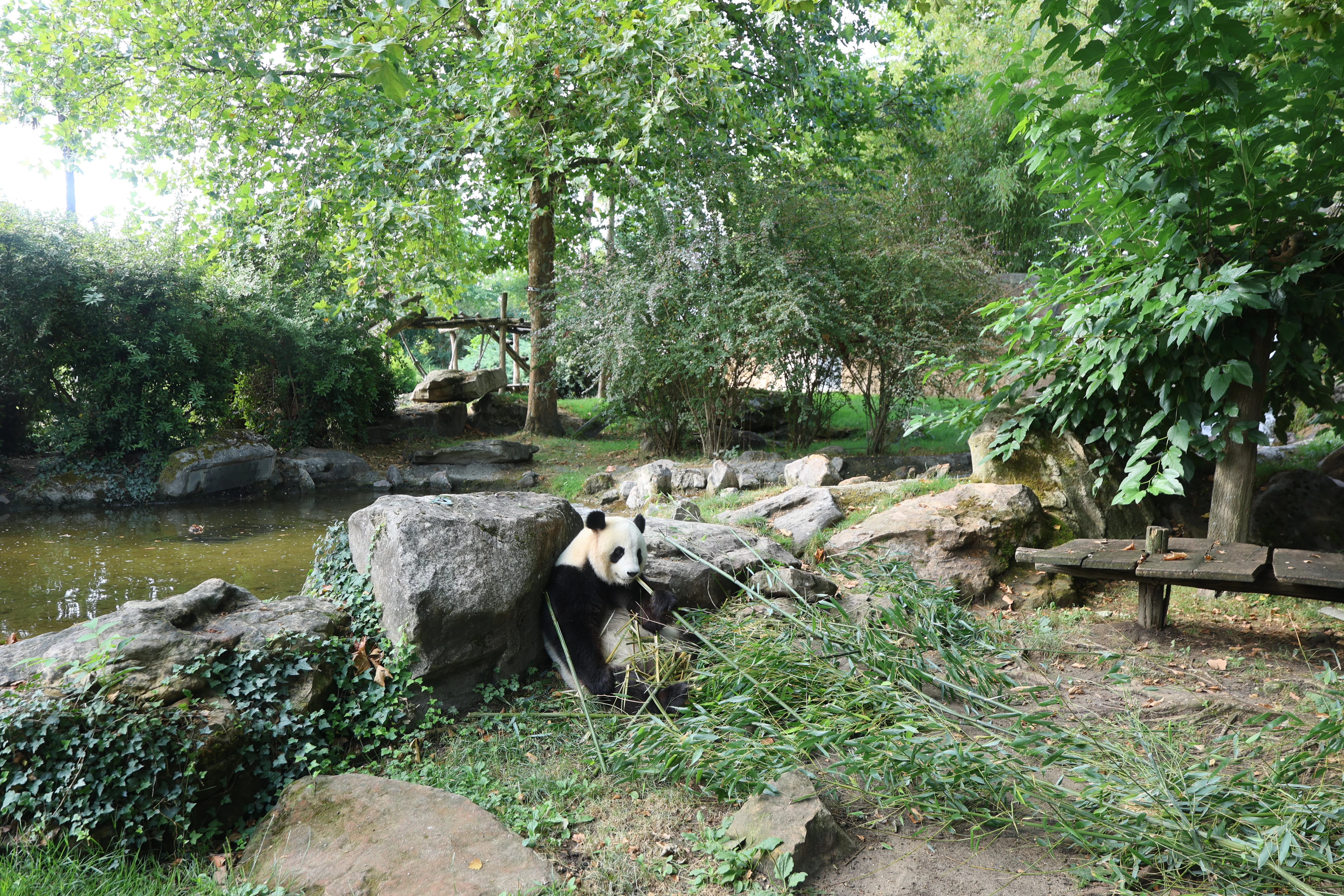 ZooParc de Beauval