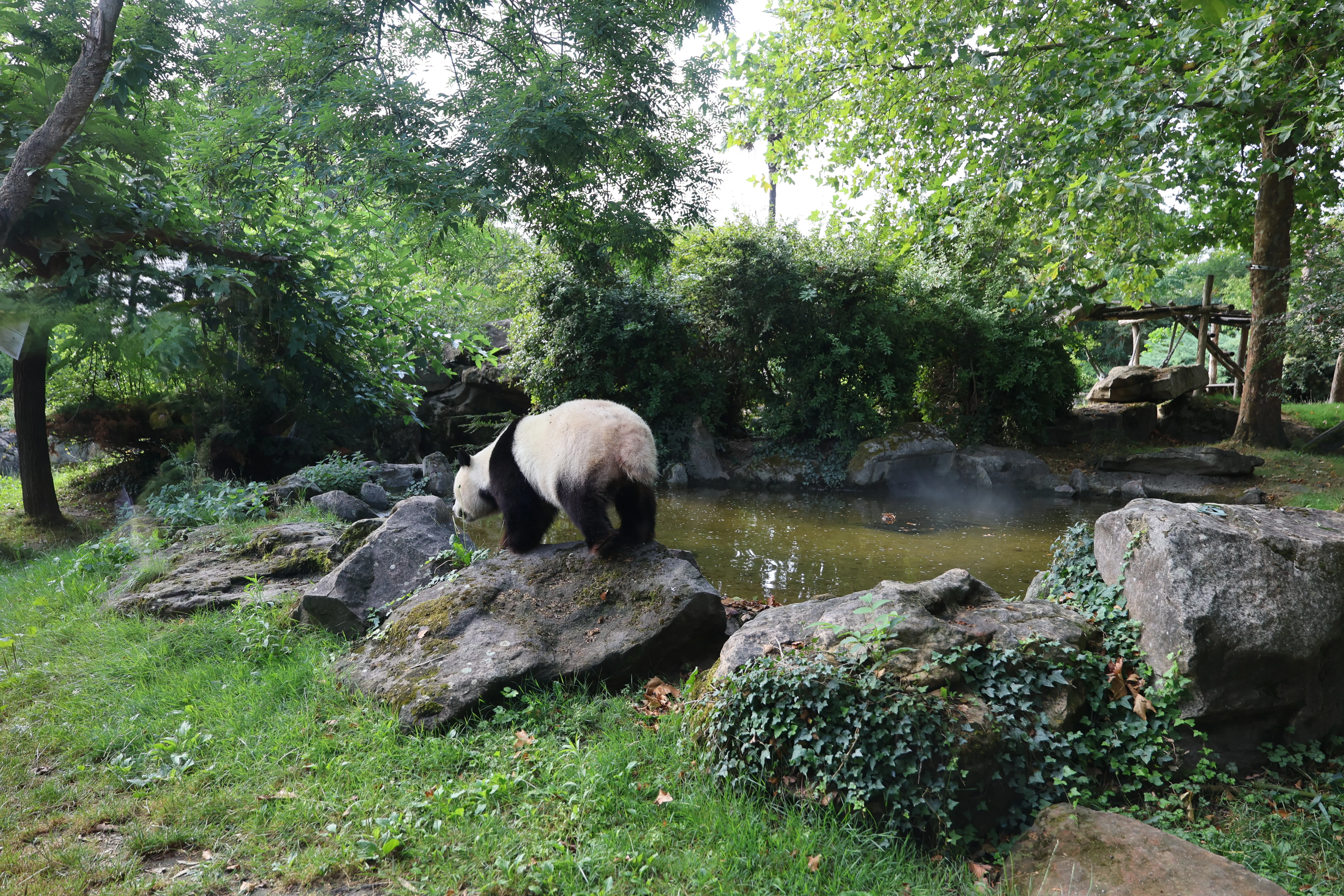 ZooParc de Beauval