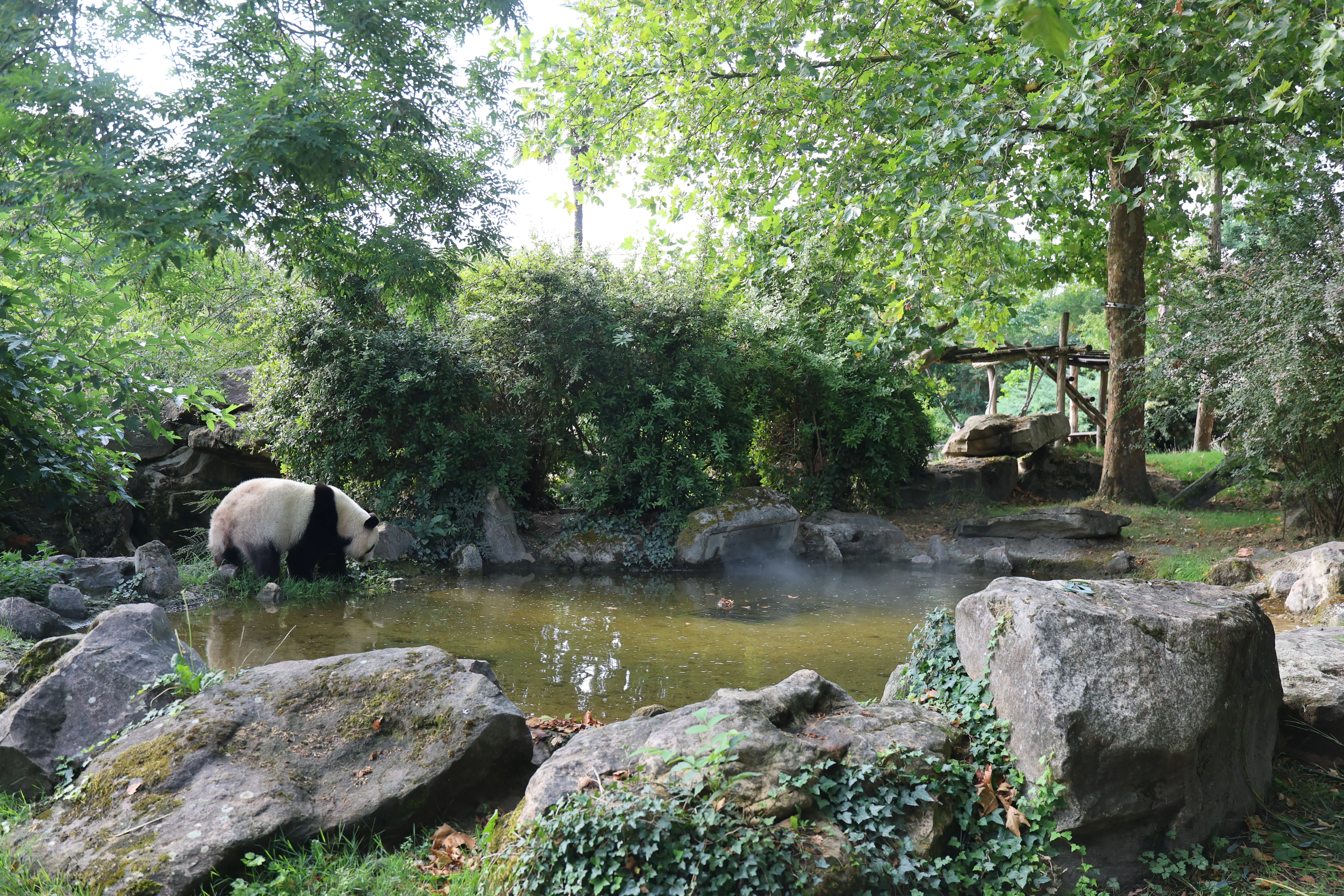 ZooParc de Beauval