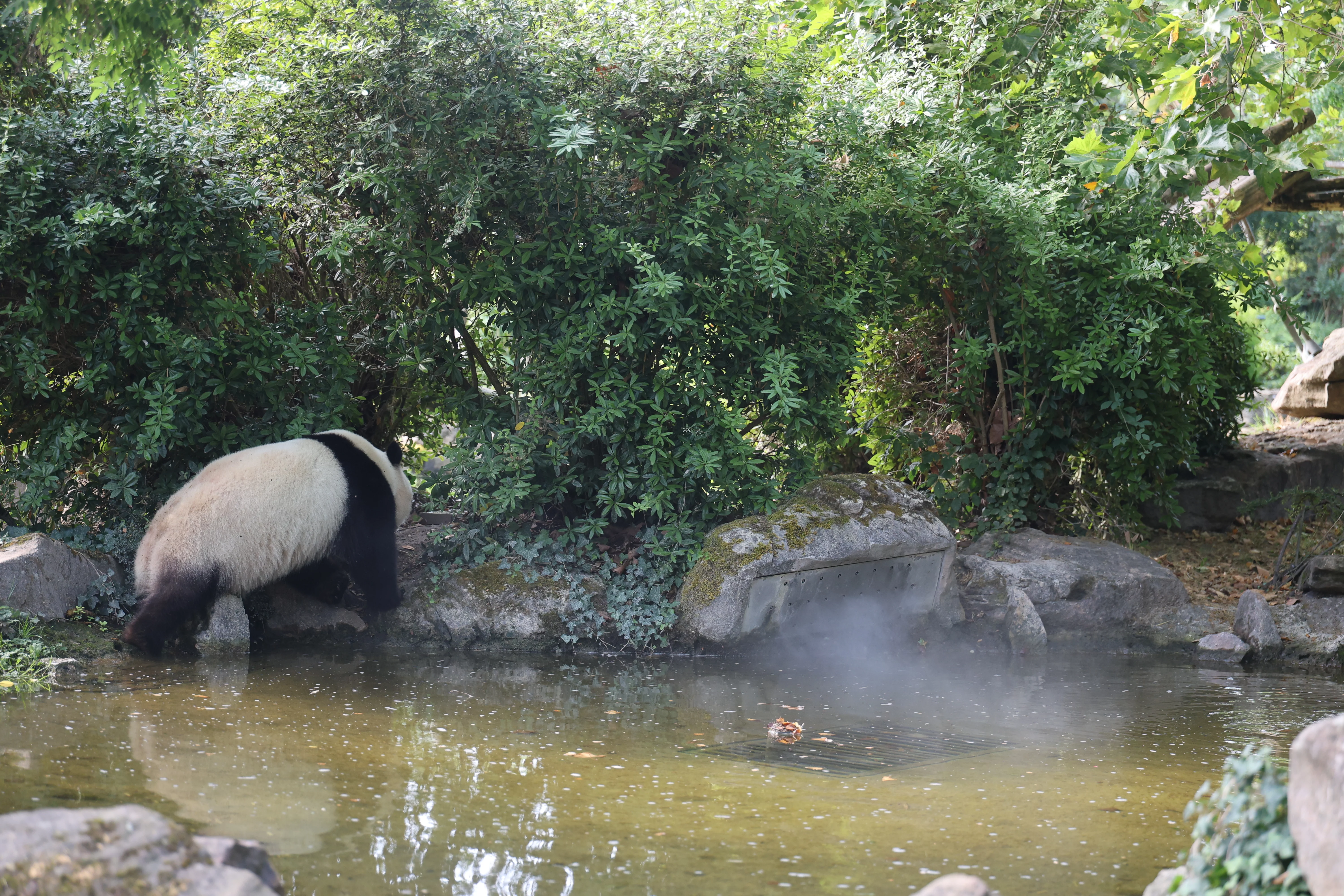 ZooParc de Beauval
