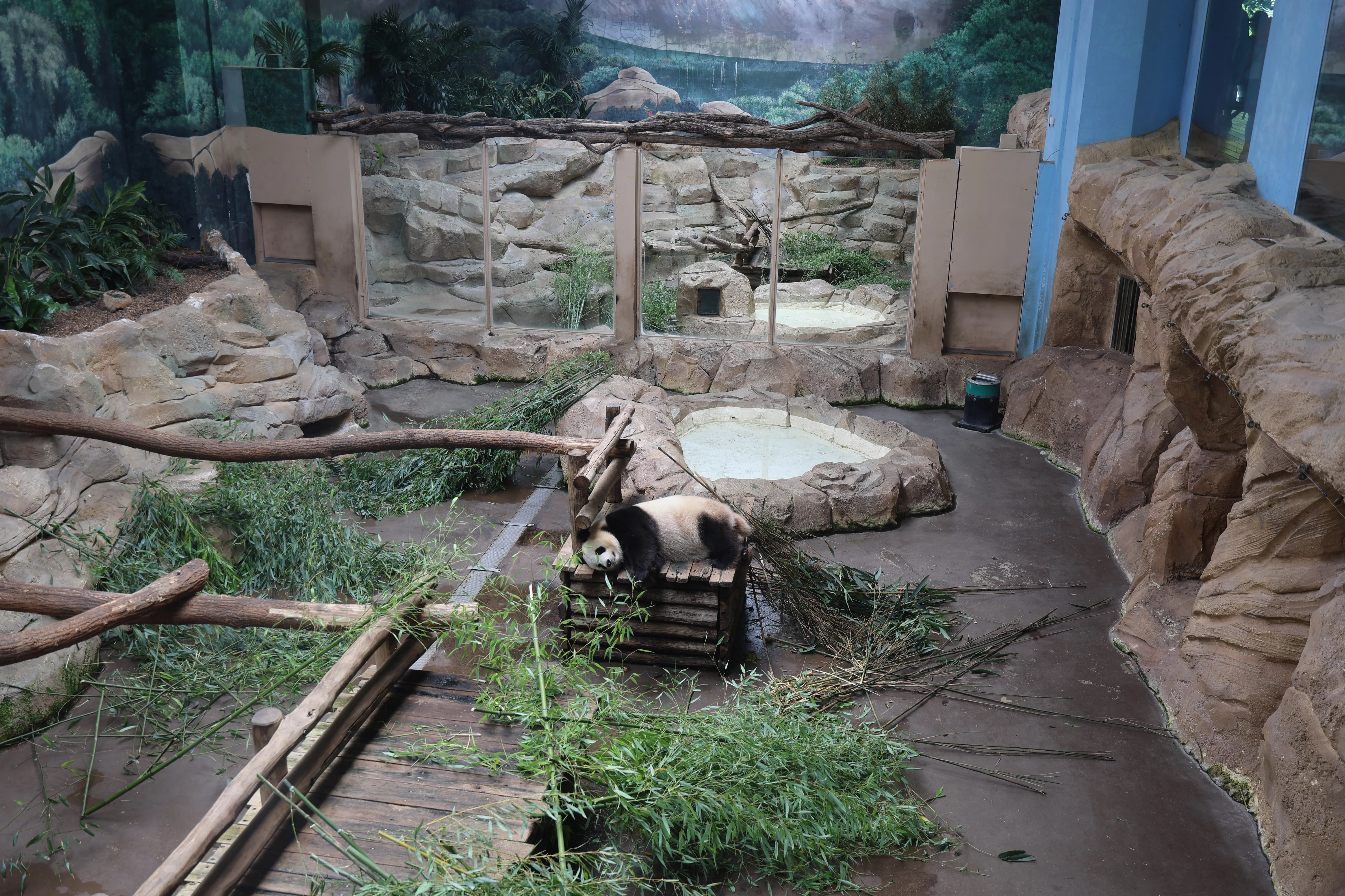 ZooParc de Beauval