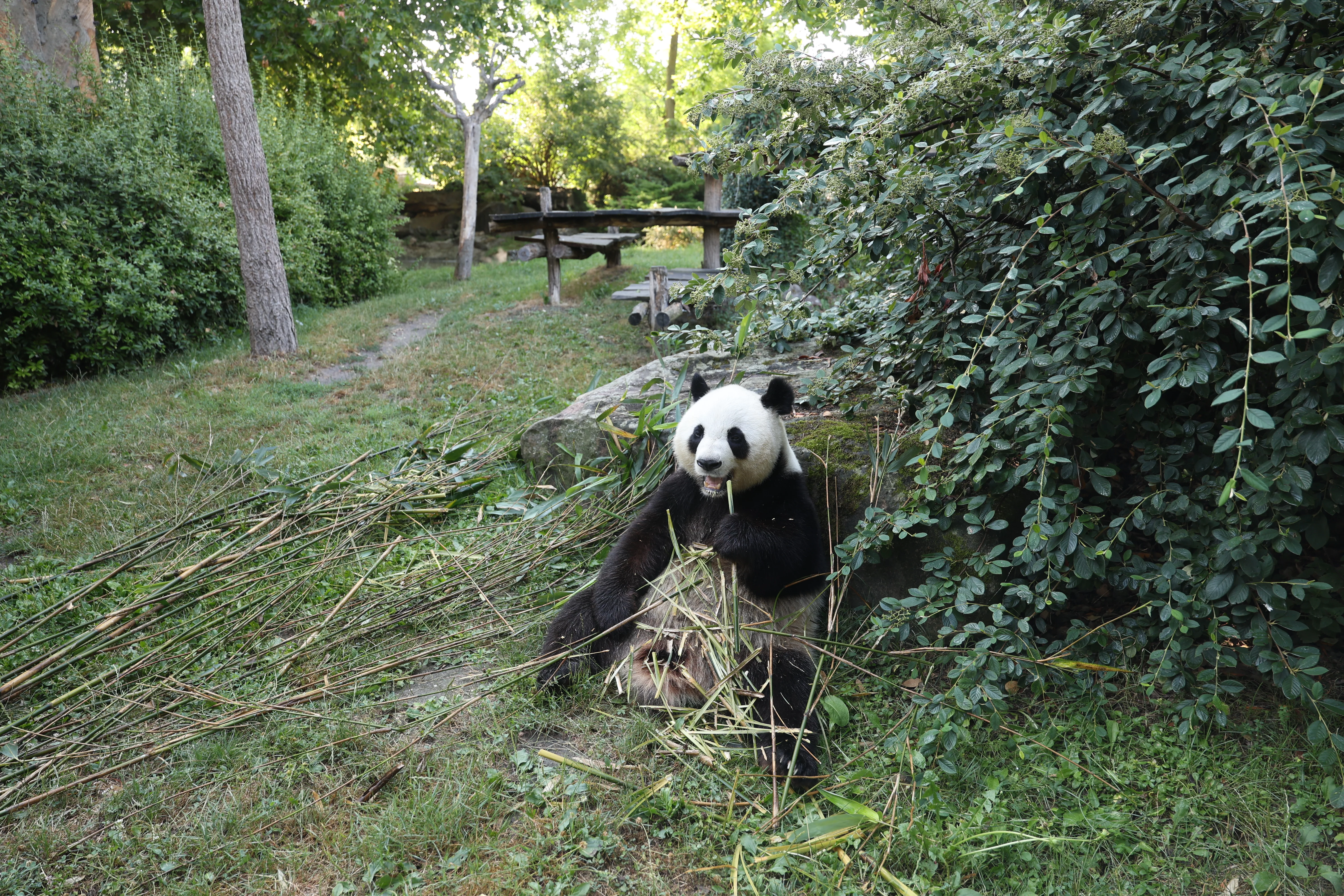 ZooParc de Beauval