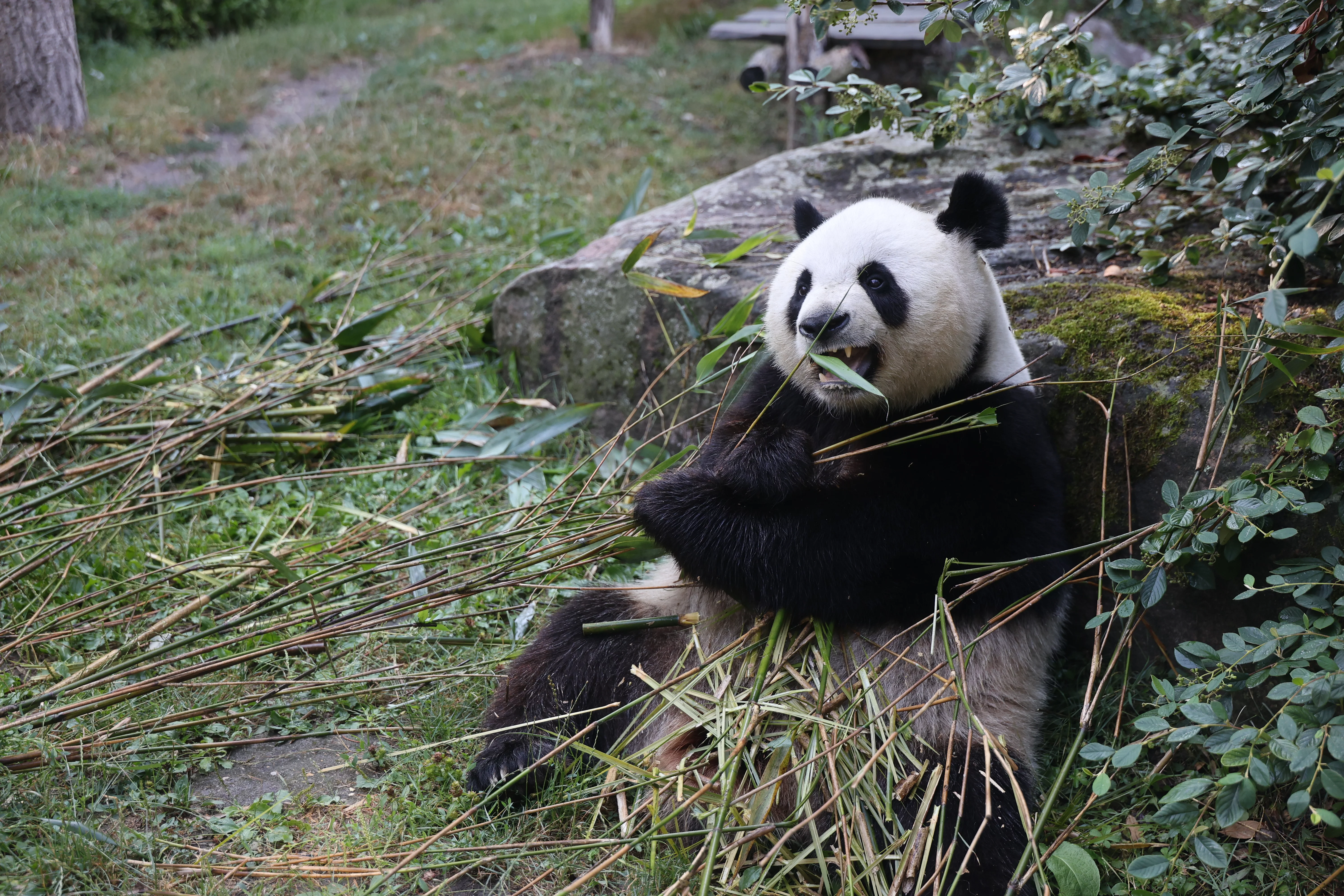 ZooParc de Beauval