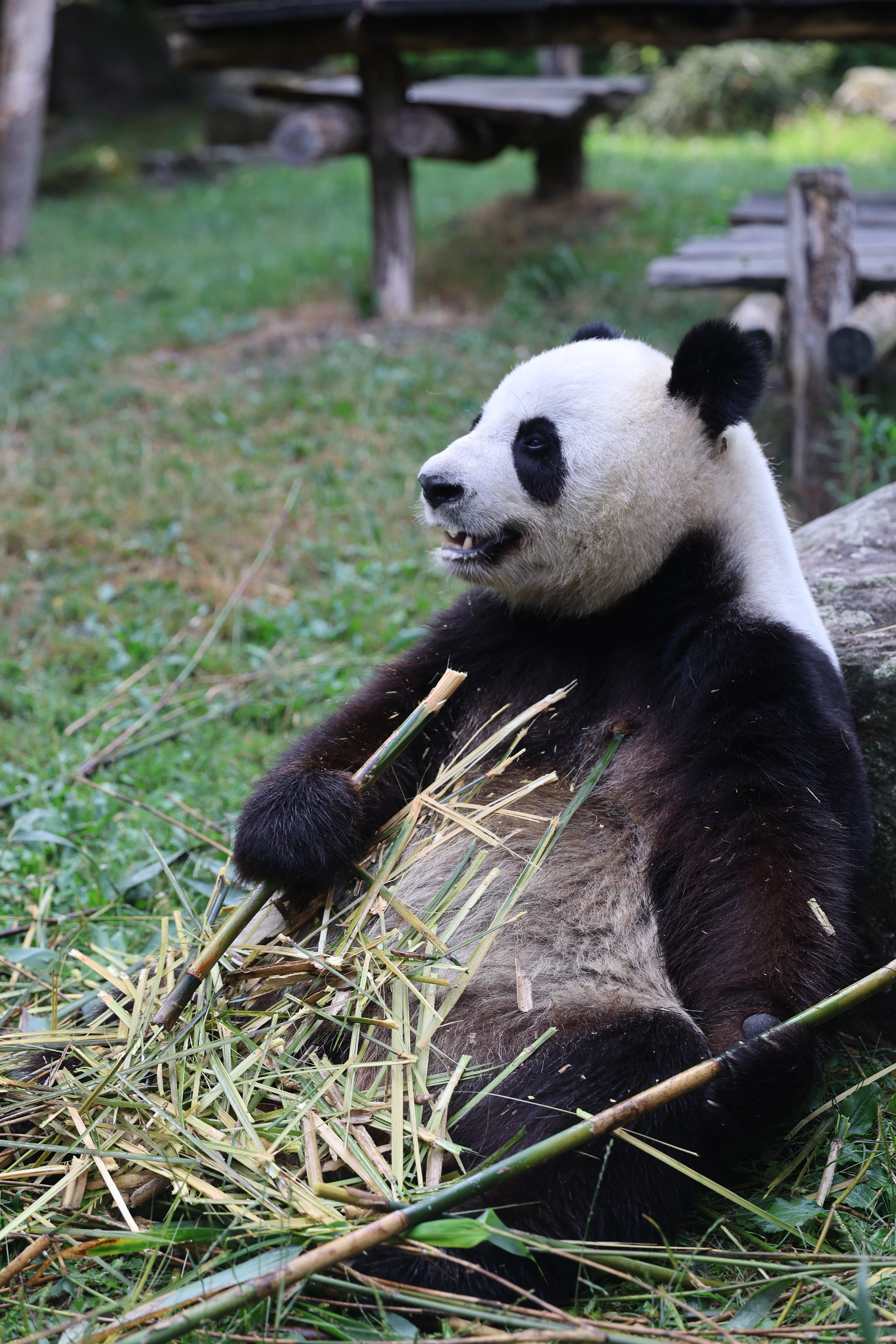 ZooParc de Beauval