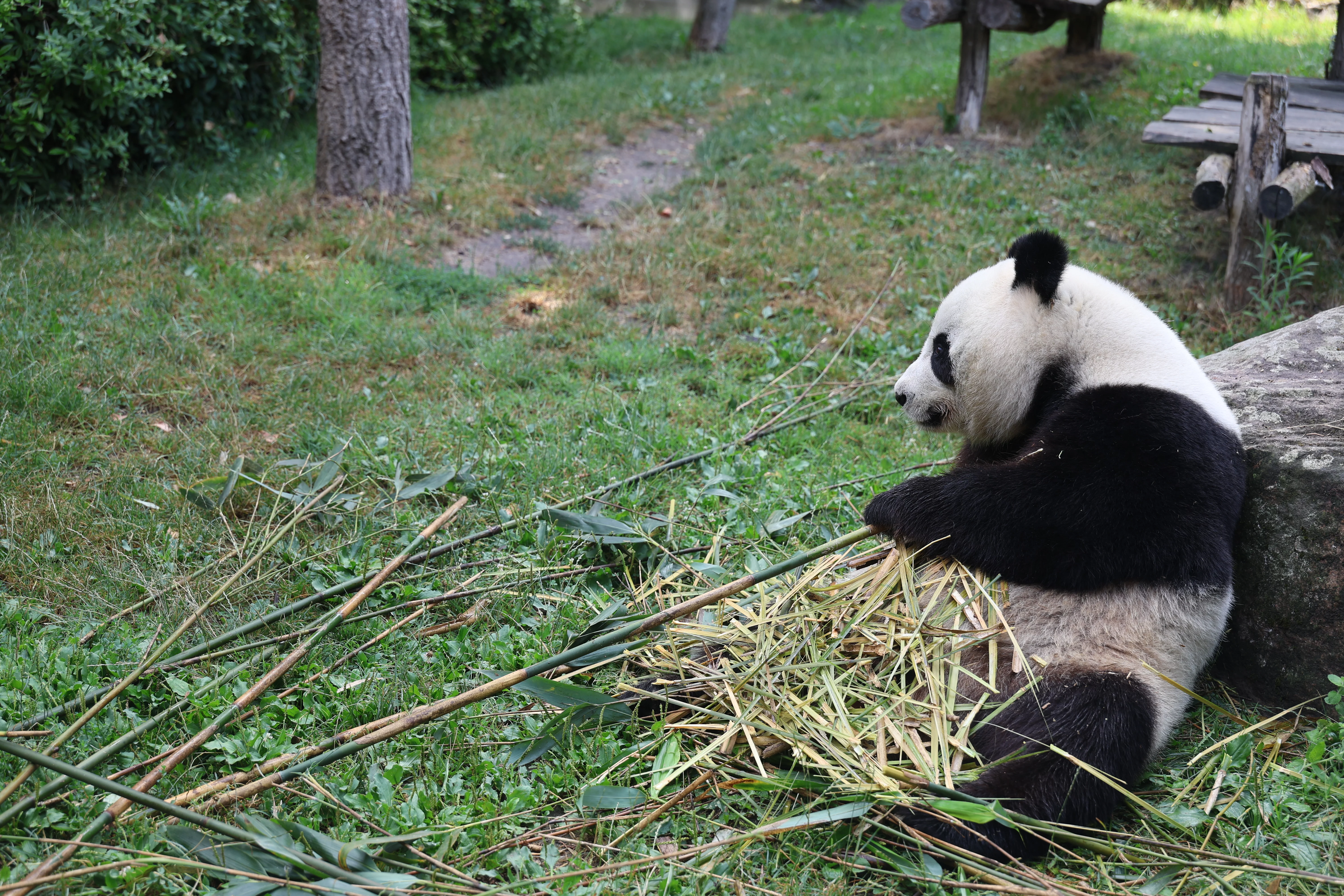 ZooParc de Beauval
